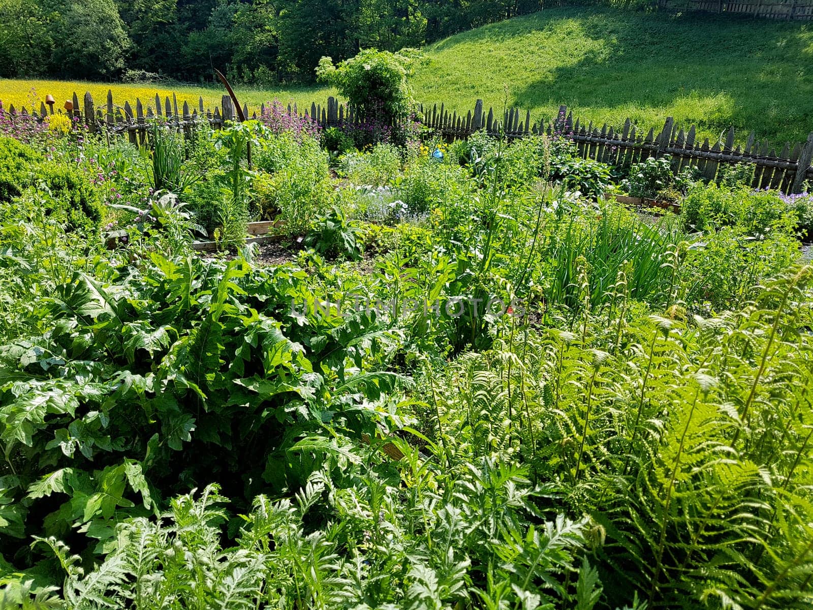 Bauerngarten  Kraeutergarten, Apothekergarten