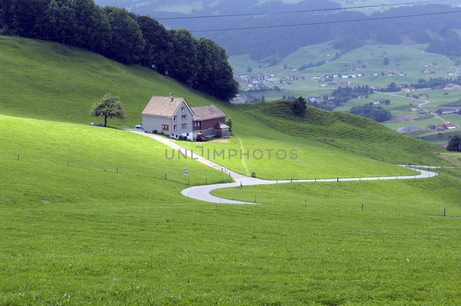 Appenzellerland