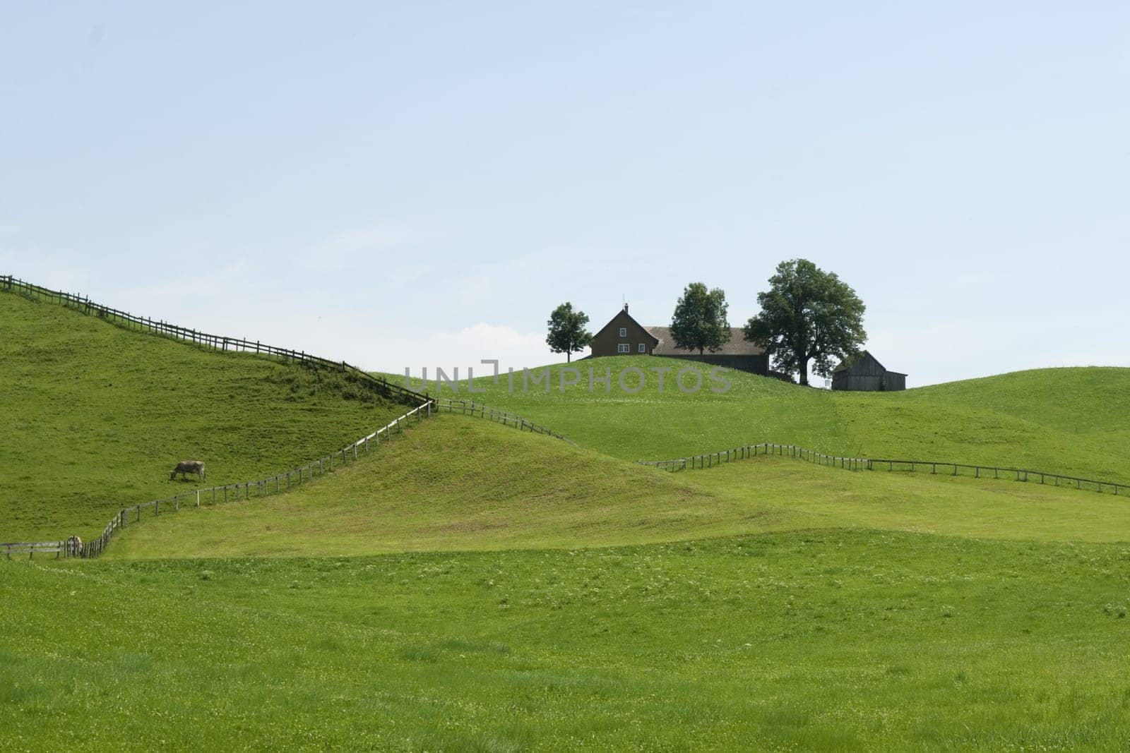 Appenzellerland