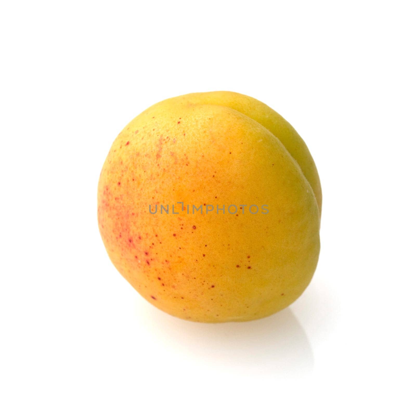 Aprikose, Prunus armeniaca, Heilpflanzen, Fruechte, Obst