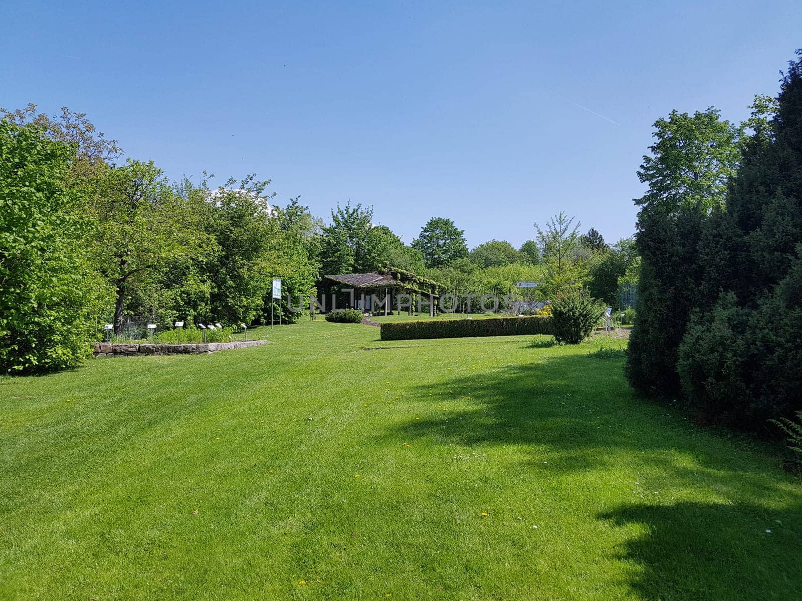 Apothekergarten   Wiesbaden