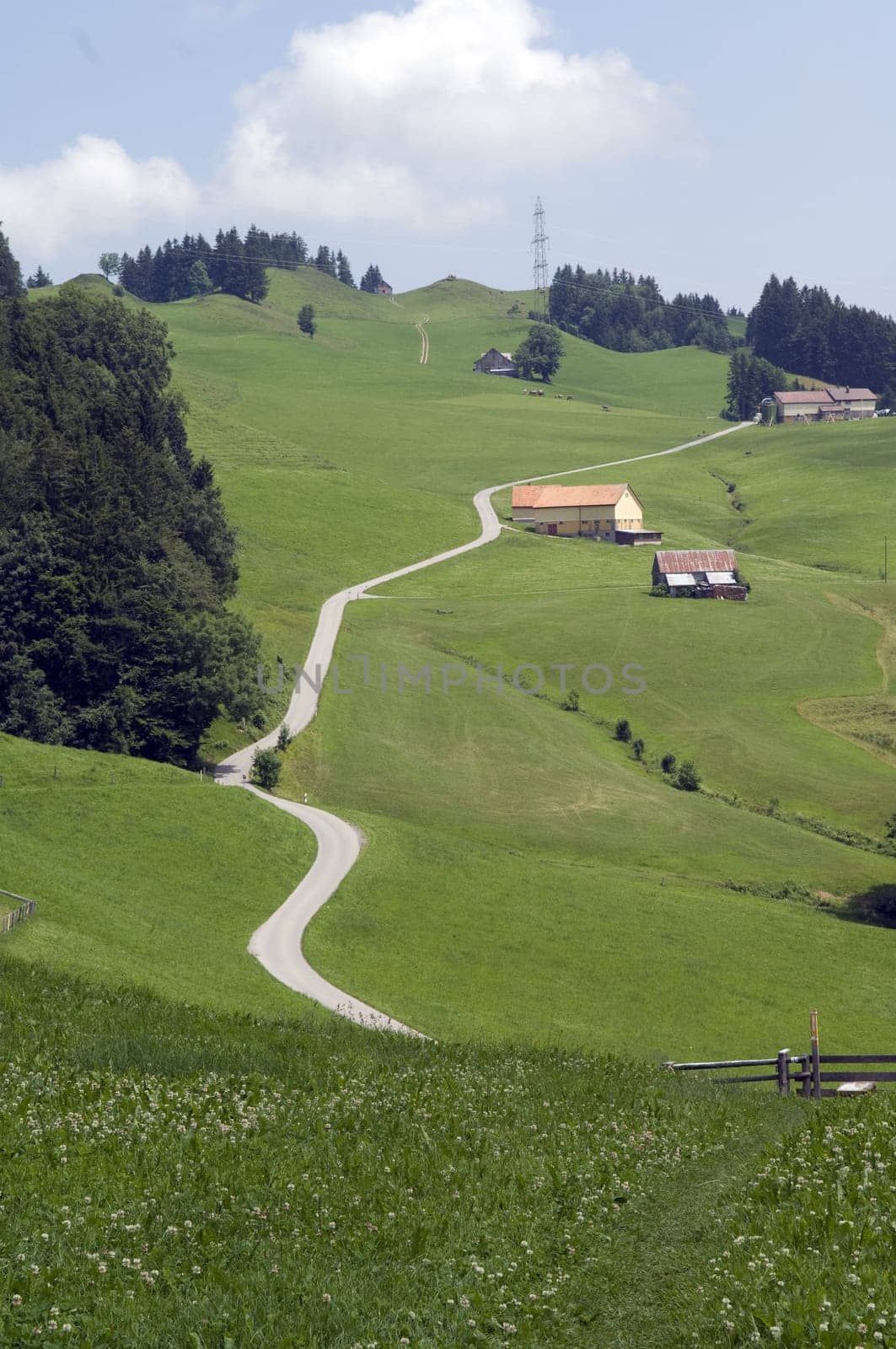 Appenzellerland