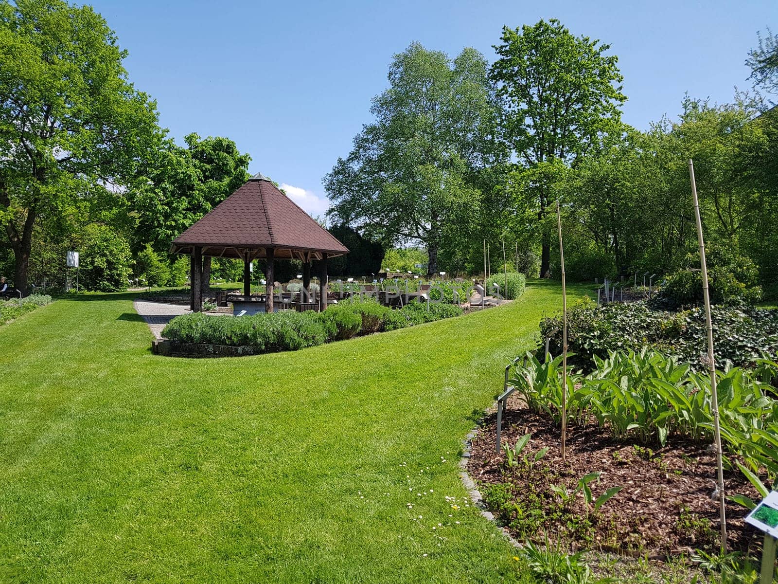 Apothekergarten   Wiesbaden