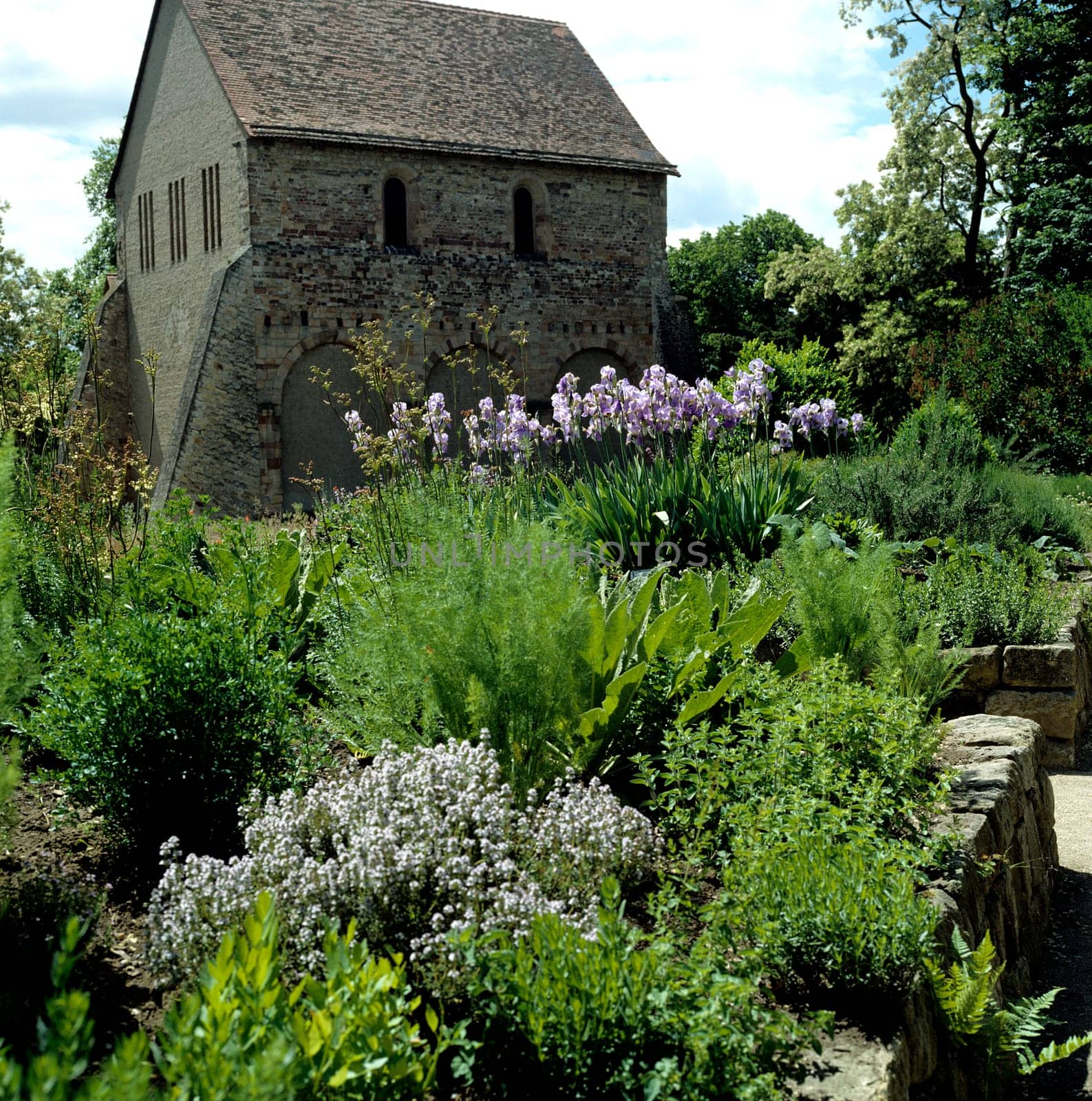 Apothekergarten im Kloster Lorsch, Apothekergarten, Heilpflanzen, Kloster, Lorsch.