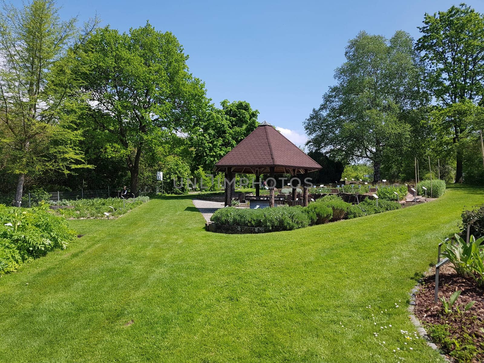 Apothekergarten   Wiesbaden