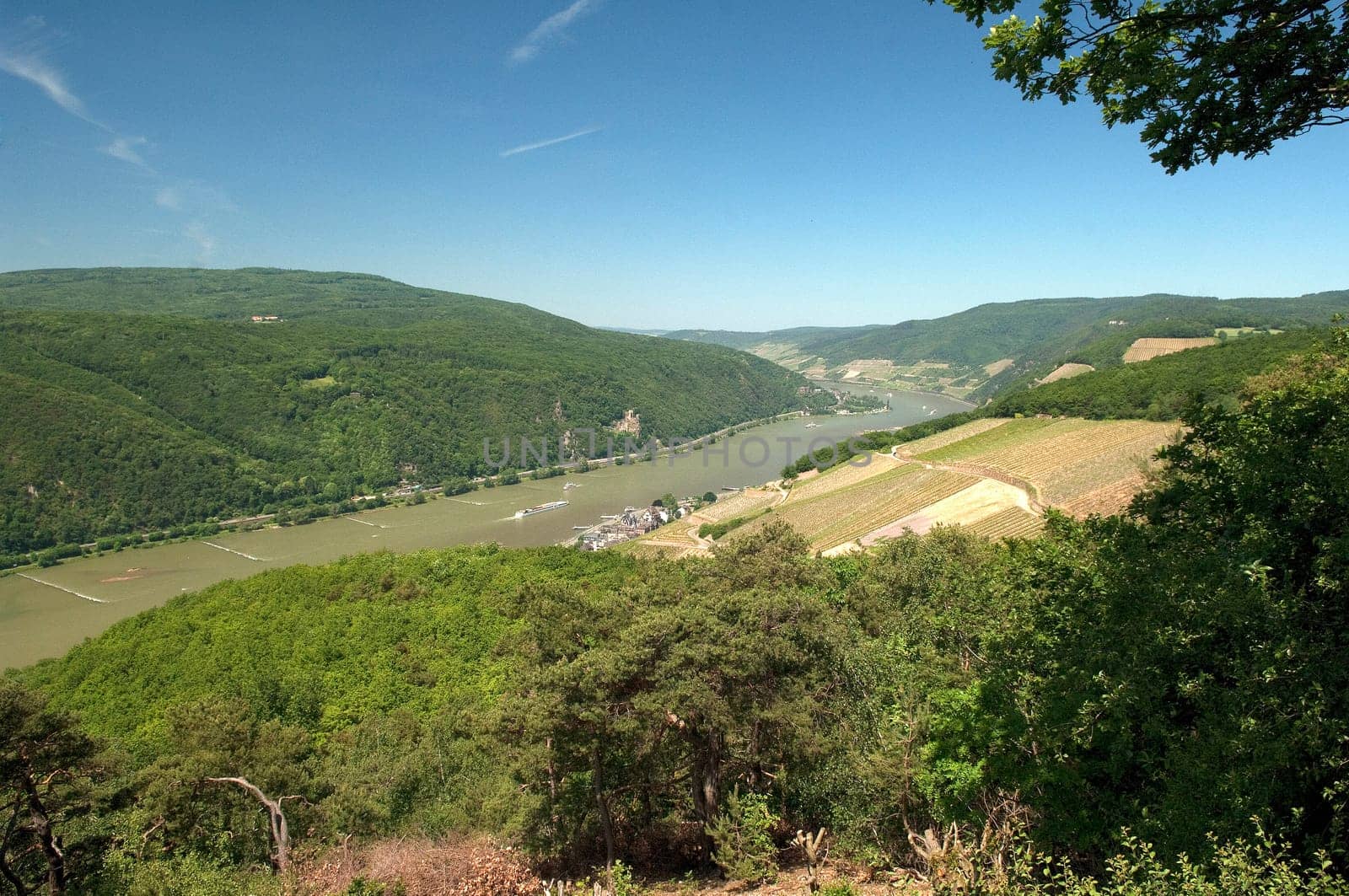 Assmannshausen, Burg, Rheinstein