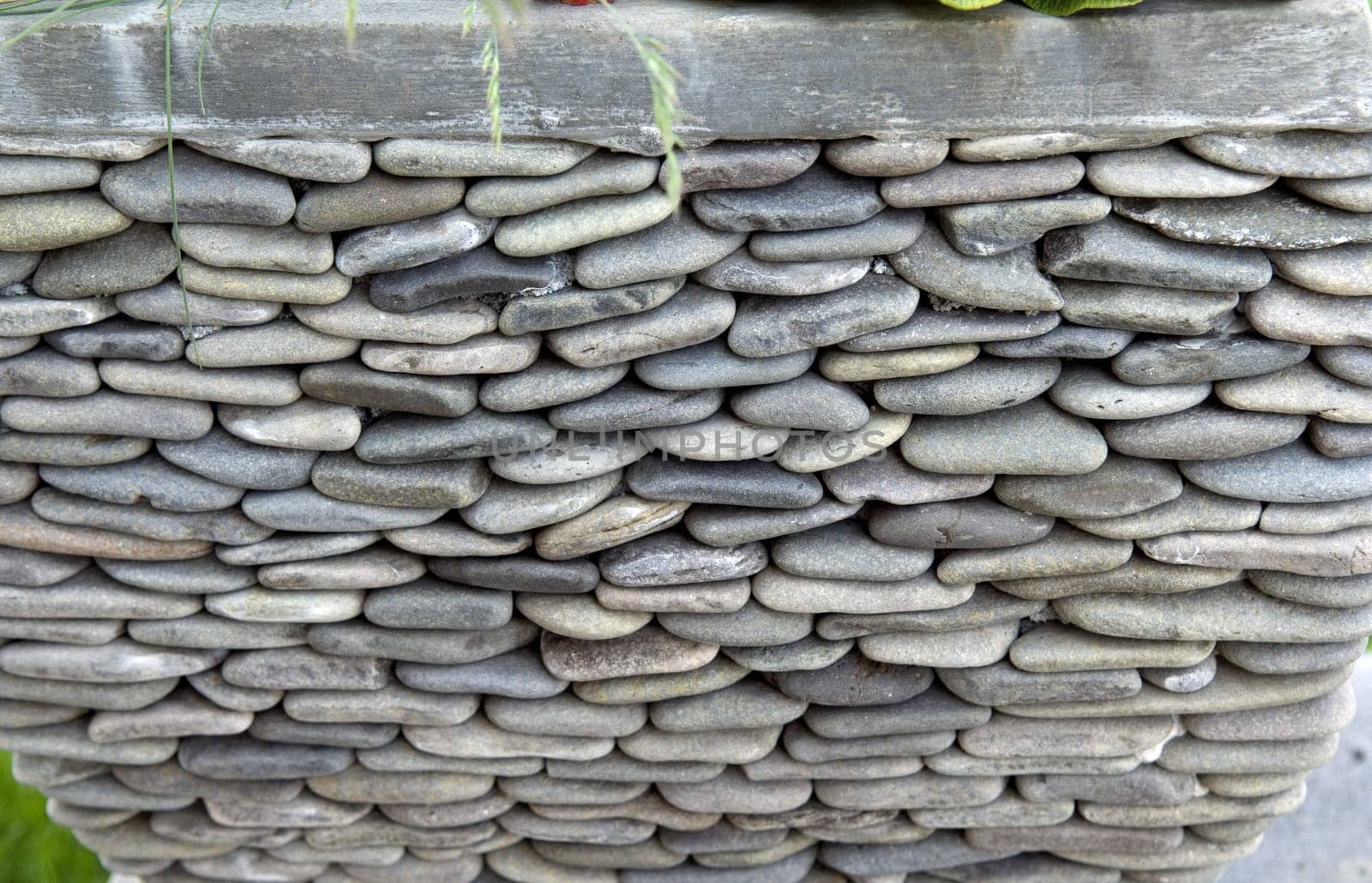 Kiesel, kieselsteine, Kuebelpflanze