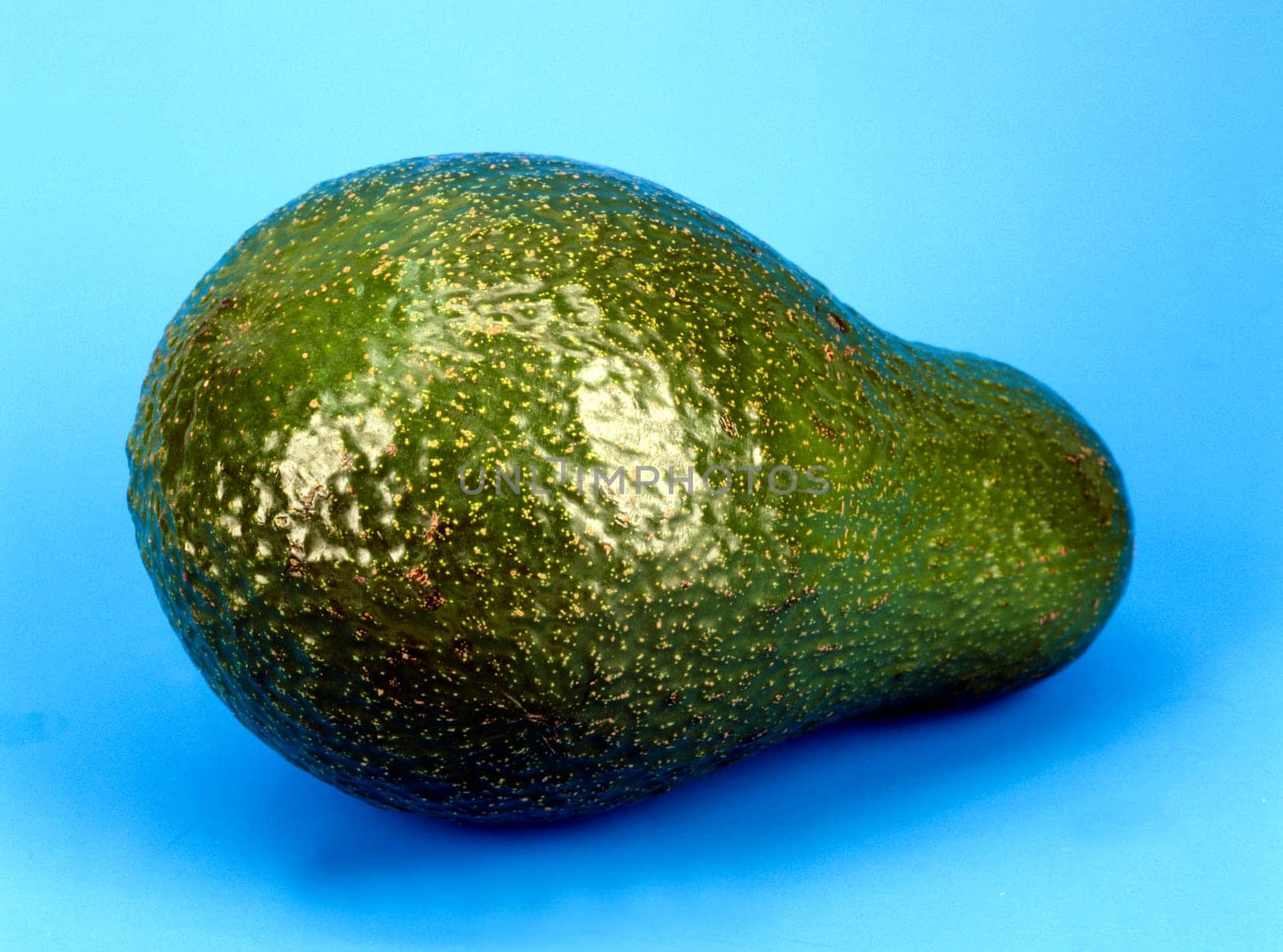 Avocado, Persea americana, Exotische Frucht, Südfrüchte.