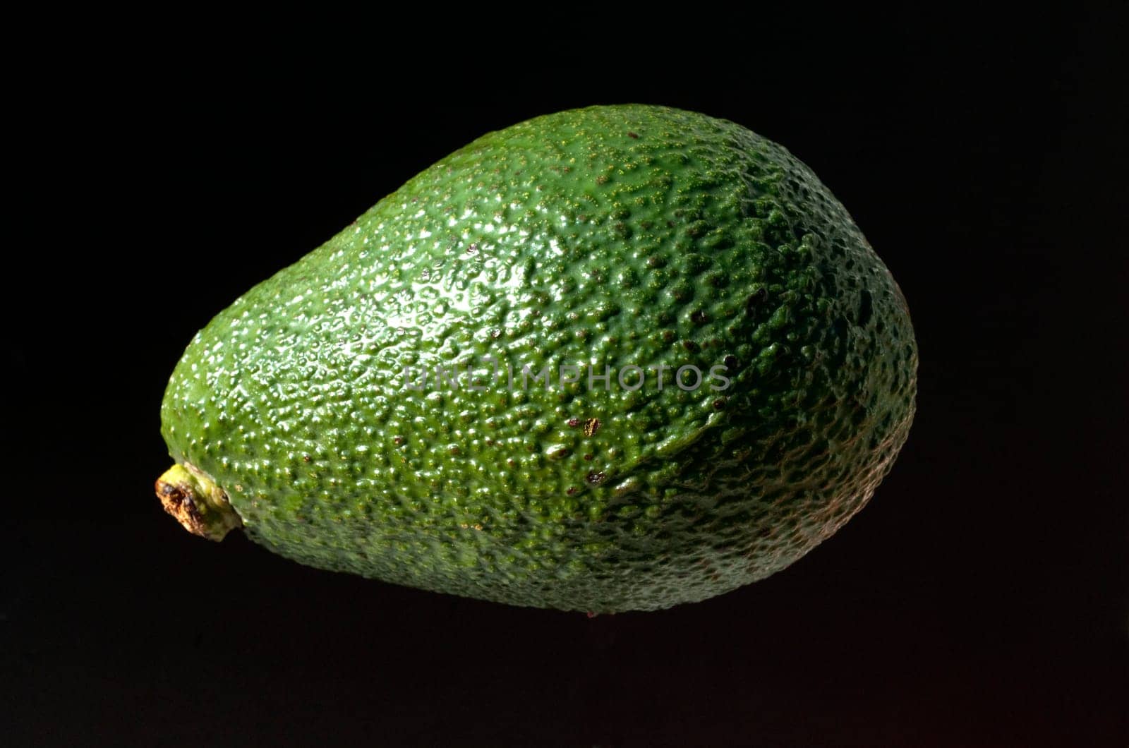 Avocado, Persea americana, Exotische Frucht, exotisch, Suedfrucht