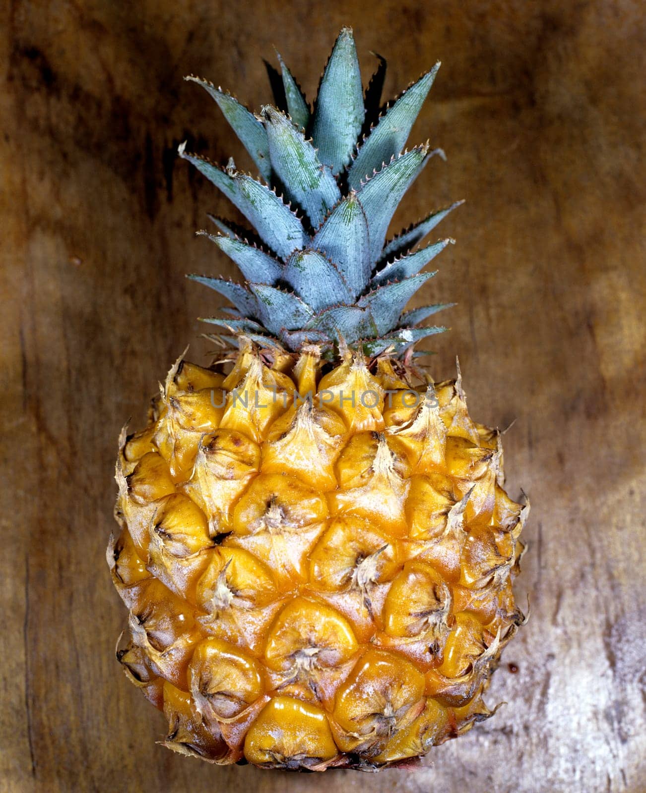 Baby Ananas, Exotische Frucht, Südfrüchte.