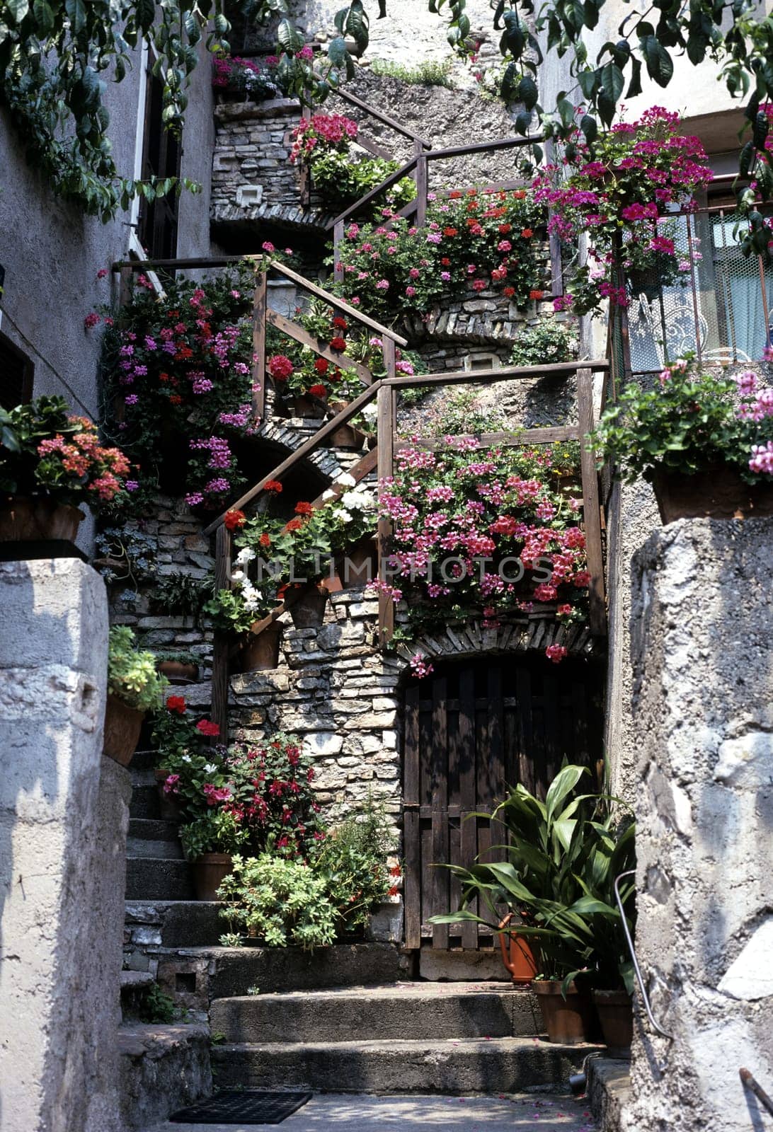 Blumen auf Treppe  Treppe