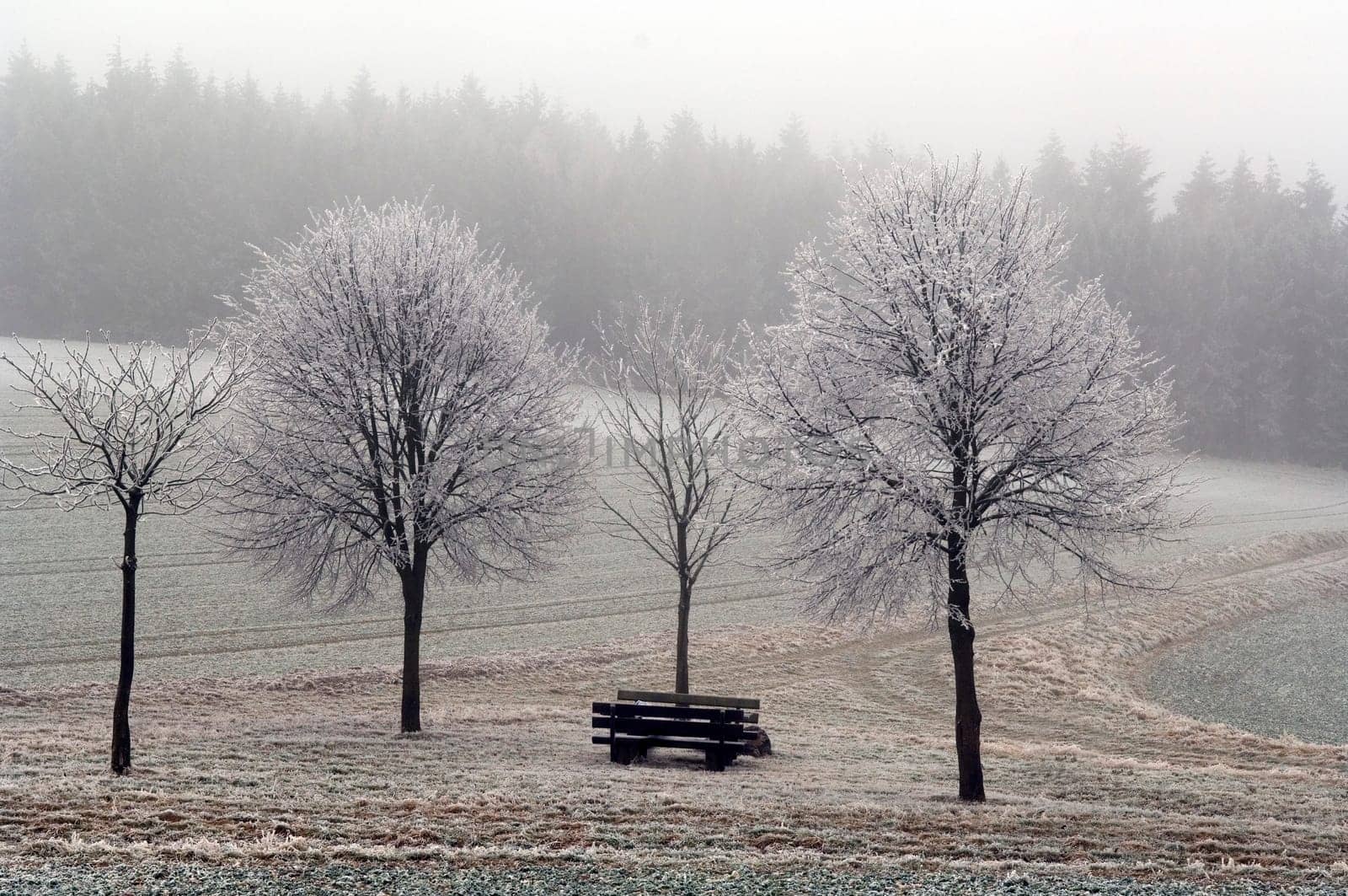Winterlandschaft