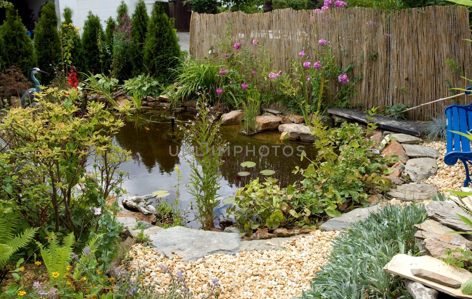 Gartenteichbau  nach 4 Monaten