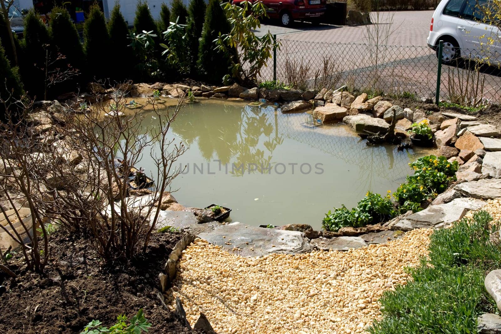 Gartenteichbau  Erste Bepflanzung