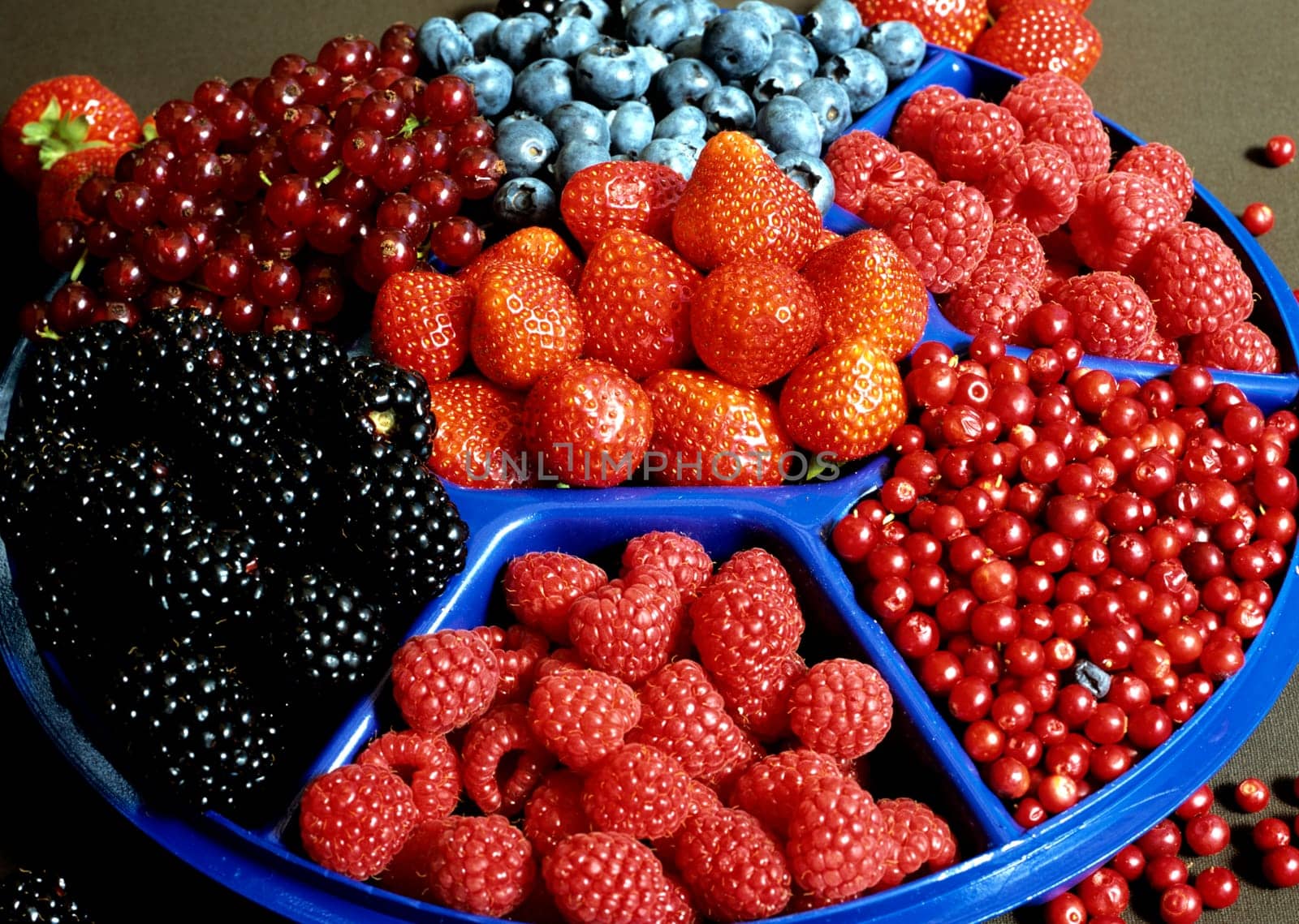 Beeren, Teller, Heidelbeeren, Himbeeren, Erdbeeren, Johannisbeeren, Brombeeren, Preiselbeeren   .