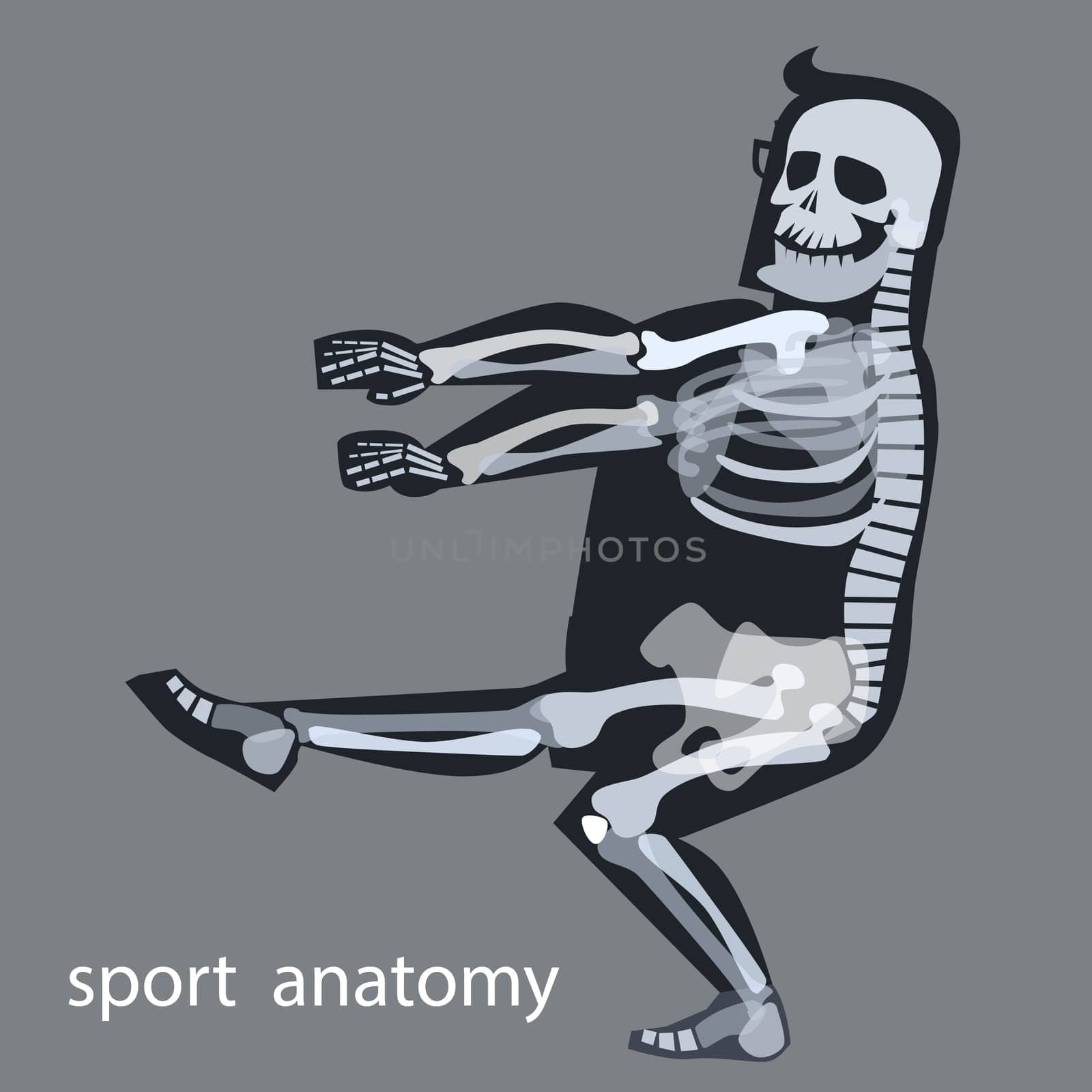 Skeleton anatomy sport male gymnastics. The human skeleton during sports