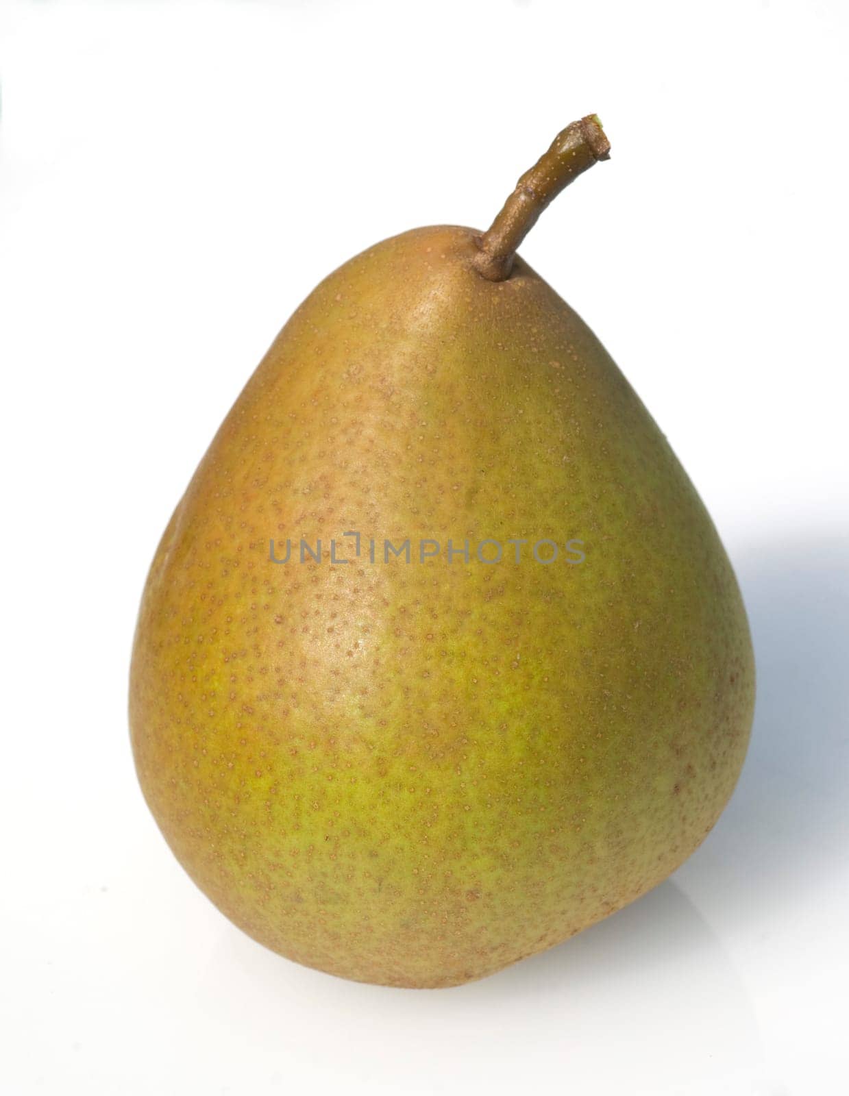 Birne, Pyrus communis, Birnensorte, Birn