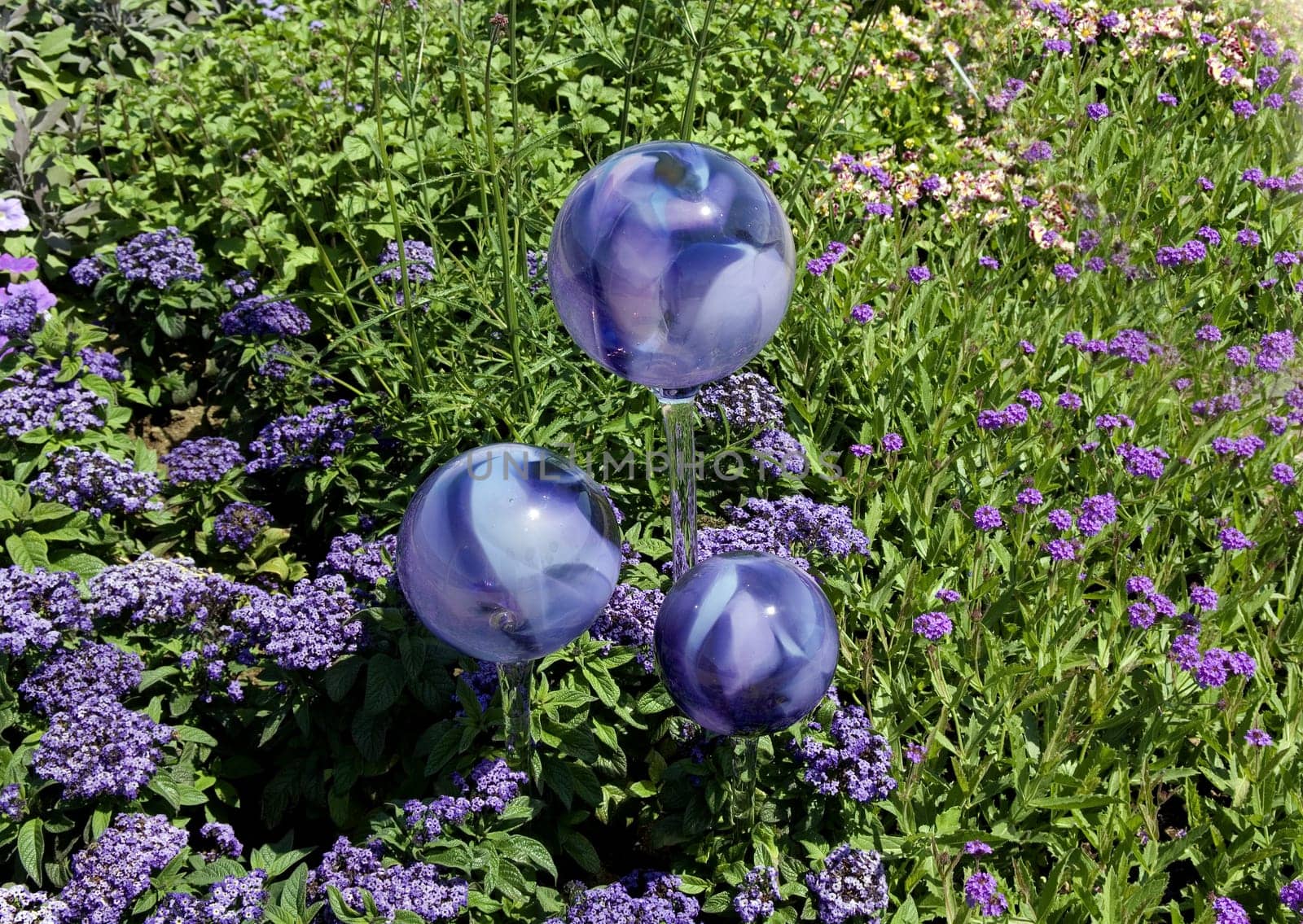 Rosenkugeln, Ambiente, Gartenambiente
