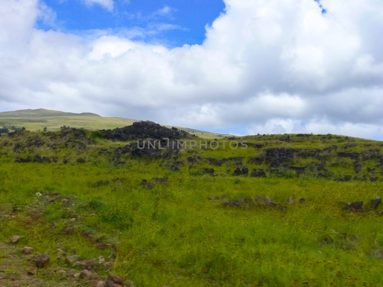 The nature of Easter Island, landscape, vegetation and coast.