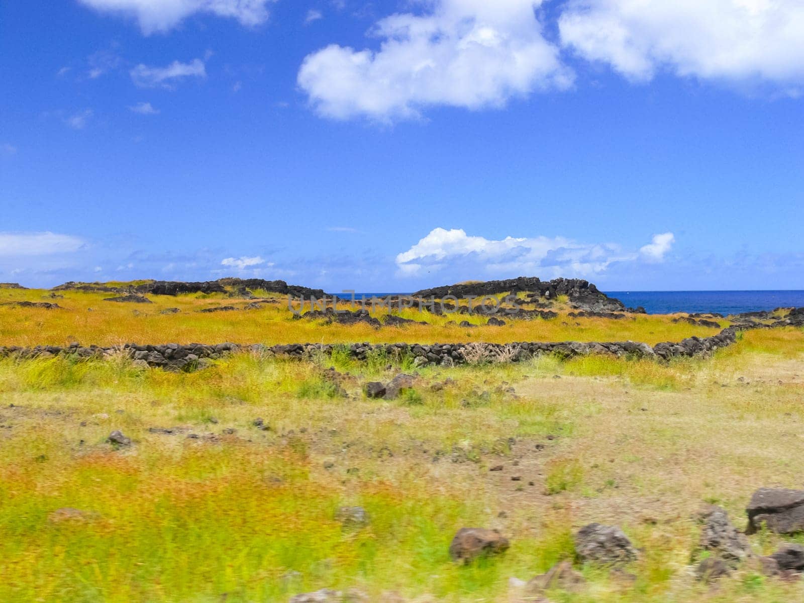 The nature of Easter Island, landscape, vegetation and coast.
