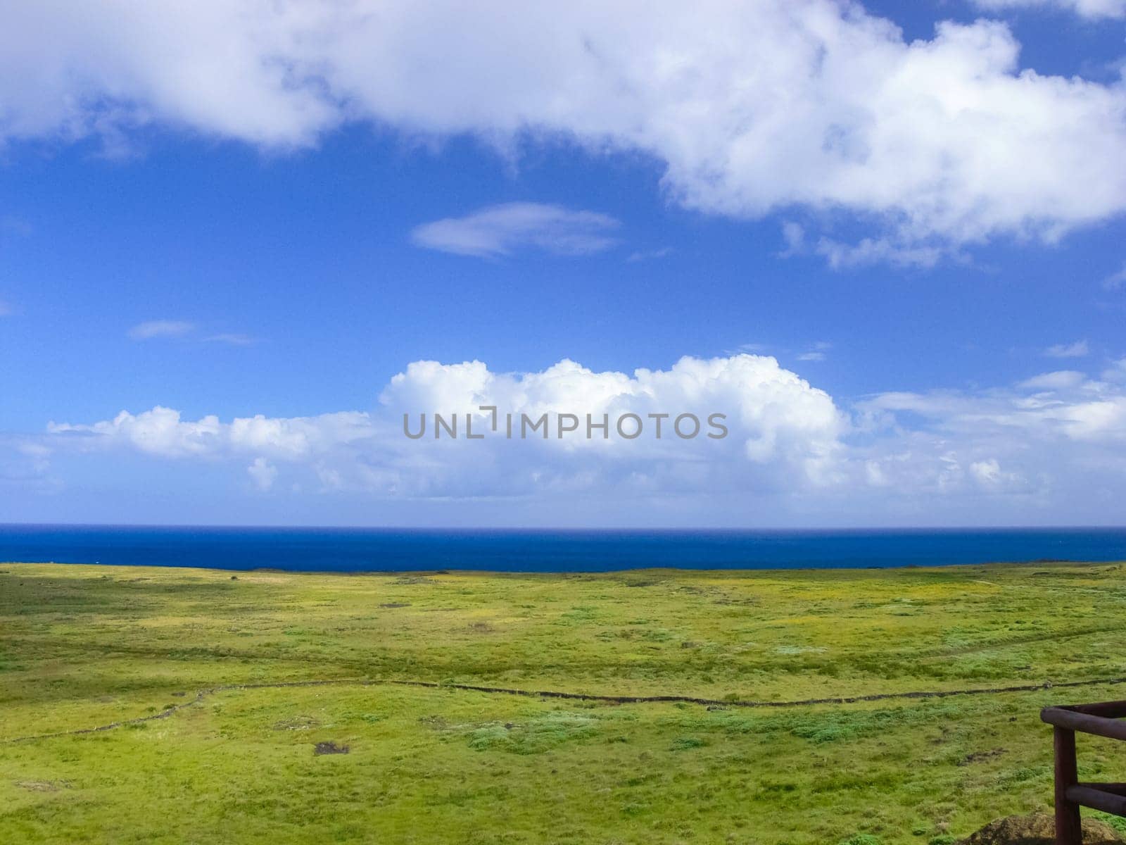 The nature of Easter Island, landscape, vegetation and coast.