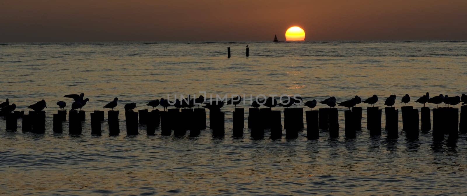 Sonnenuntergang  Buhnen  Moeven