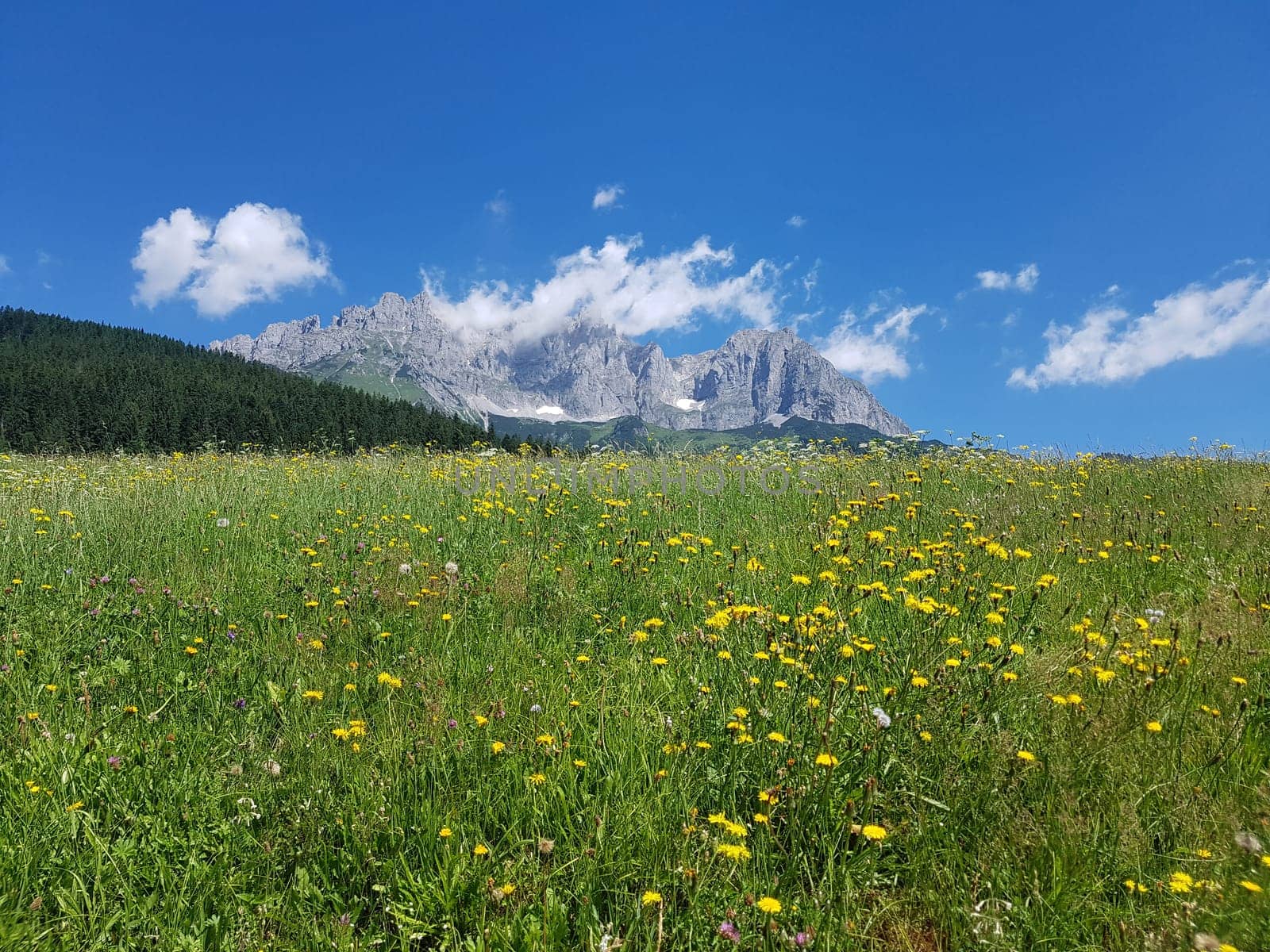 Wilder Kaiser, Tirol, Osterreich, Gebirge, Gebirgsstock