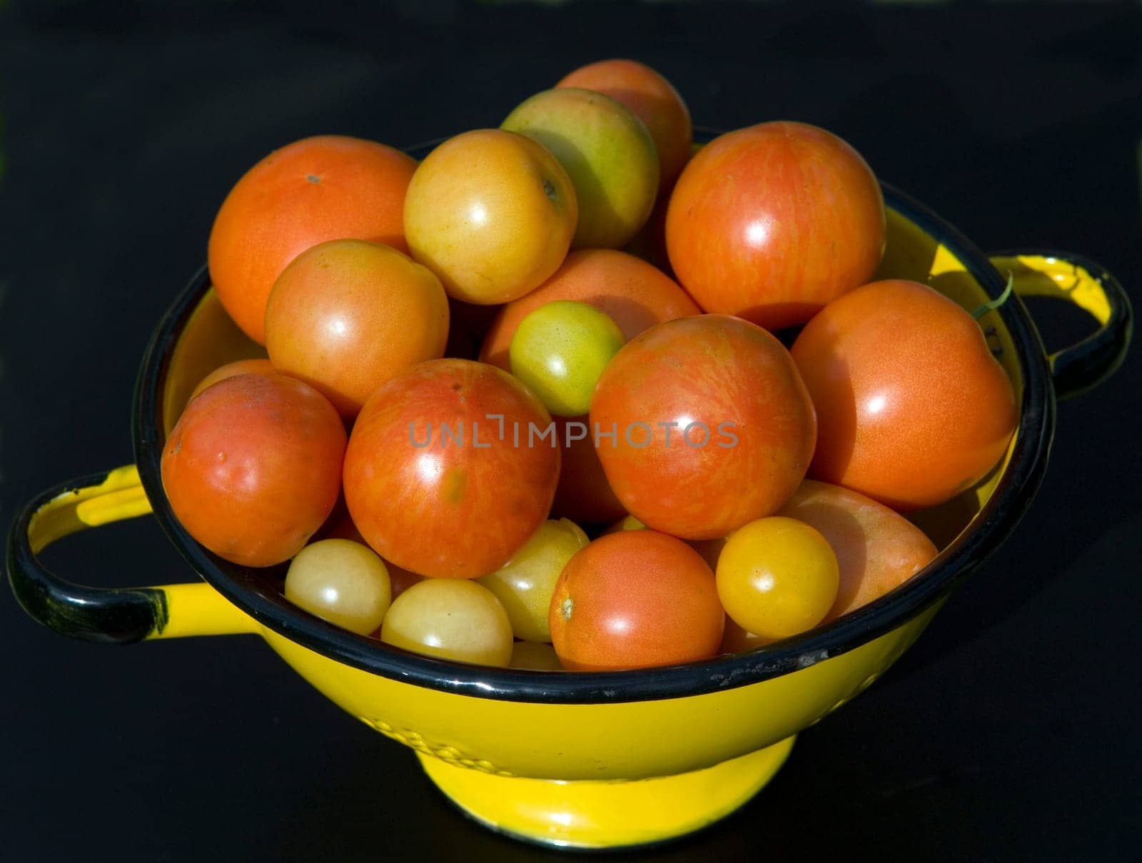 Korb mit Tomaten