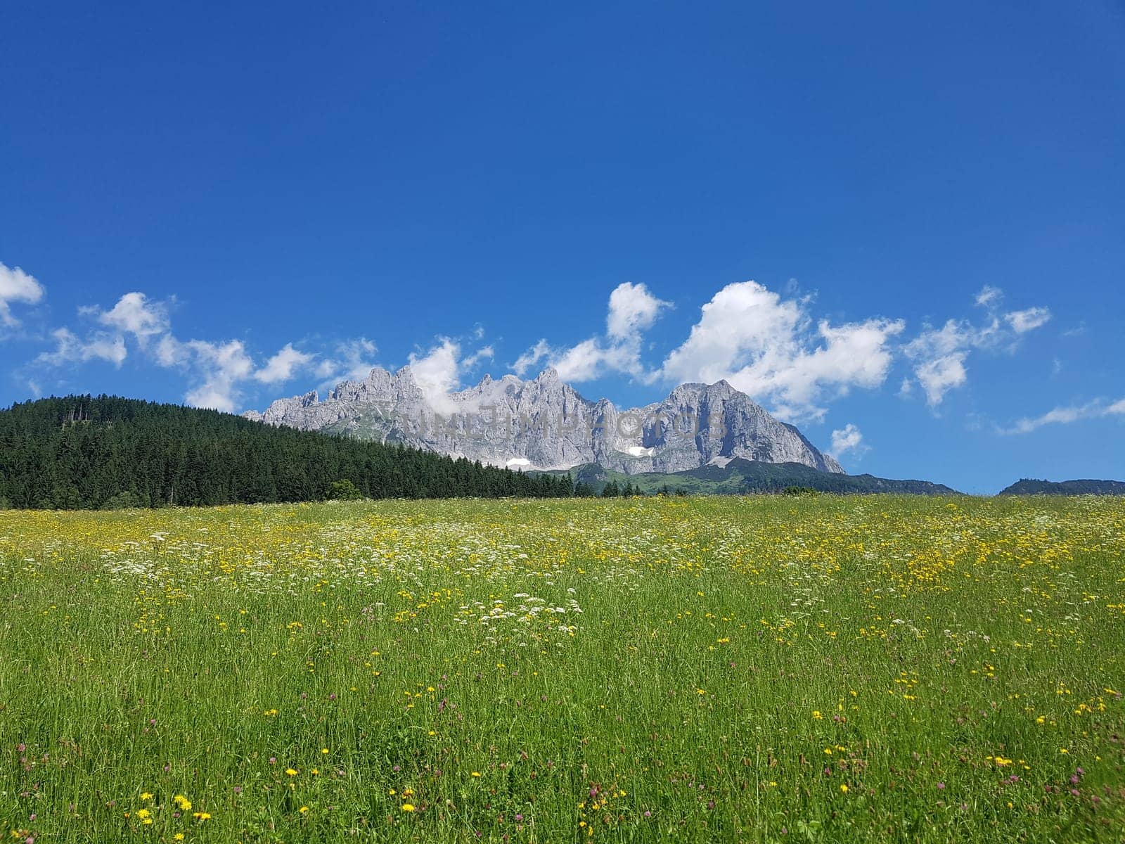 Wilder Kaiser, Tirol, Osterreich, Gebirge, Gebirgsstock