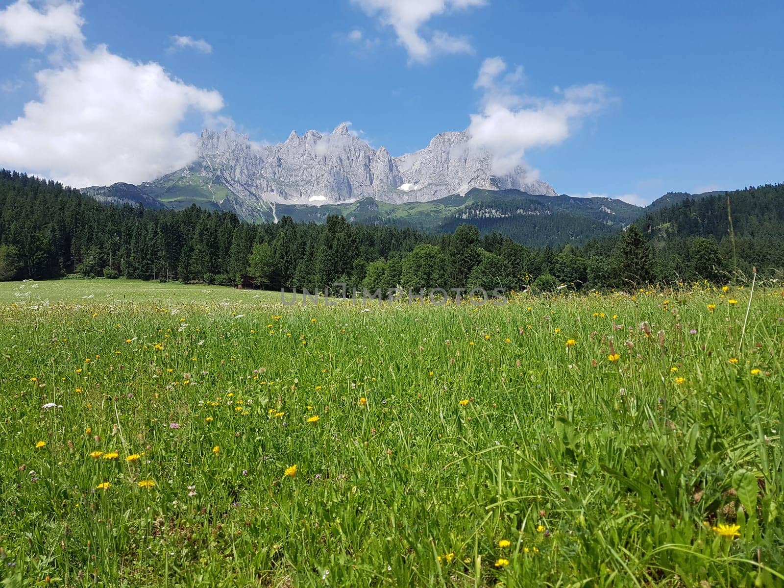 Wilder Kaiser, Tirol, Osterreich, Gebirge, Gebirgsstock