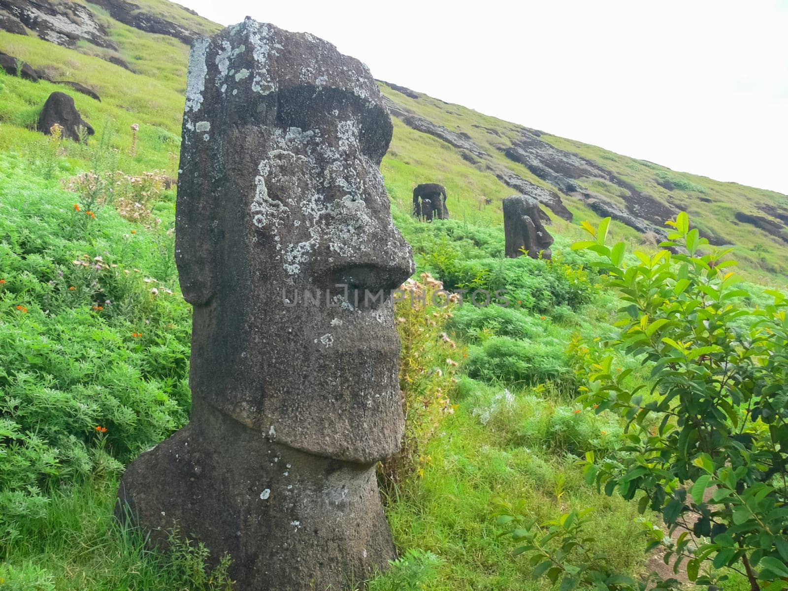 Statues of the gods of Easter Island. Ancient statues of ancient civilization on Easter Island.