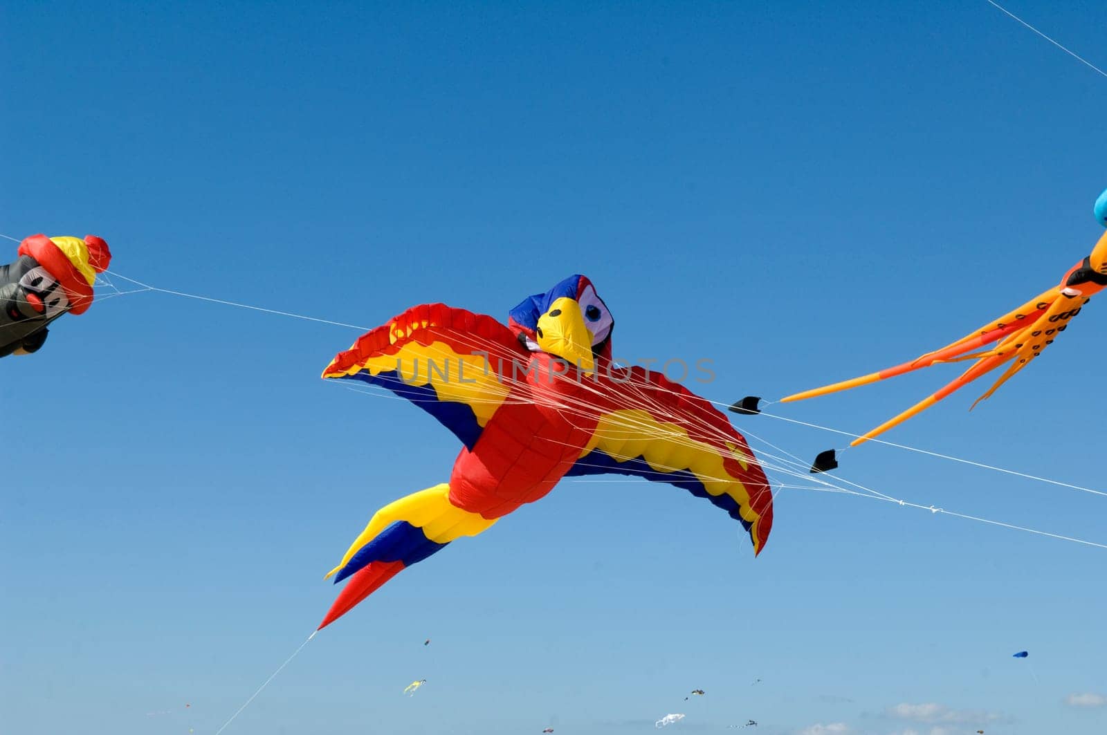 Drachen, Grossdrachen, Winddrachen, Flugdrachen