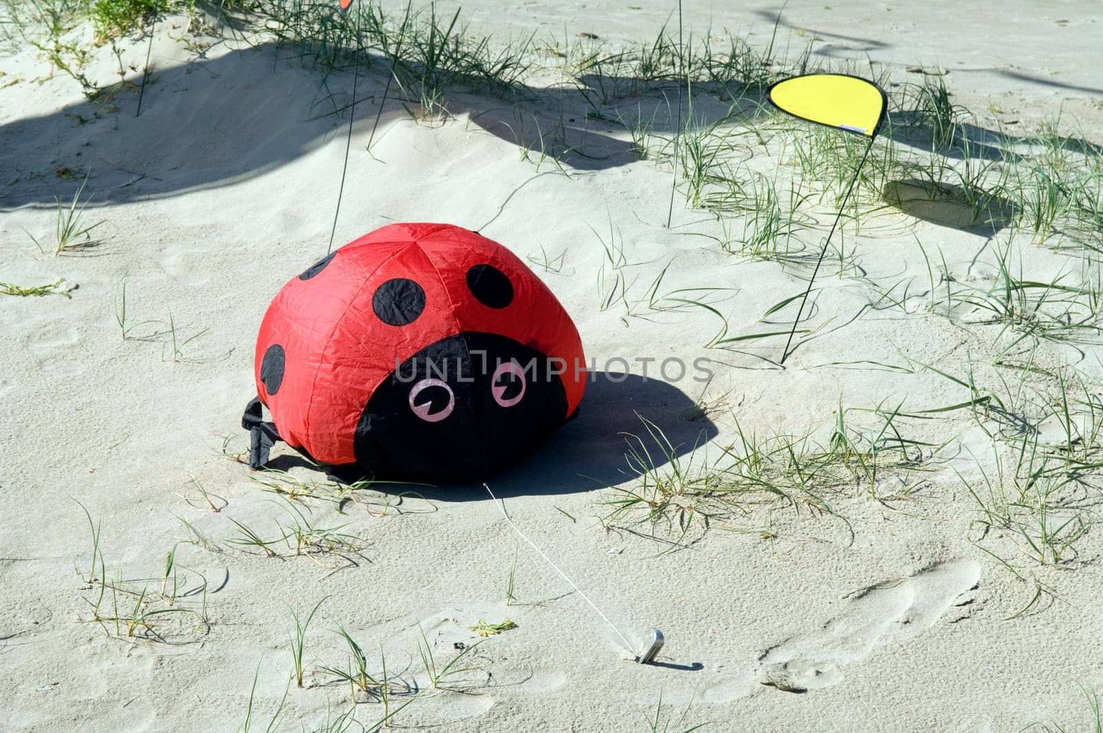 Bodenwindspiele, Marienkaefer, ladybug