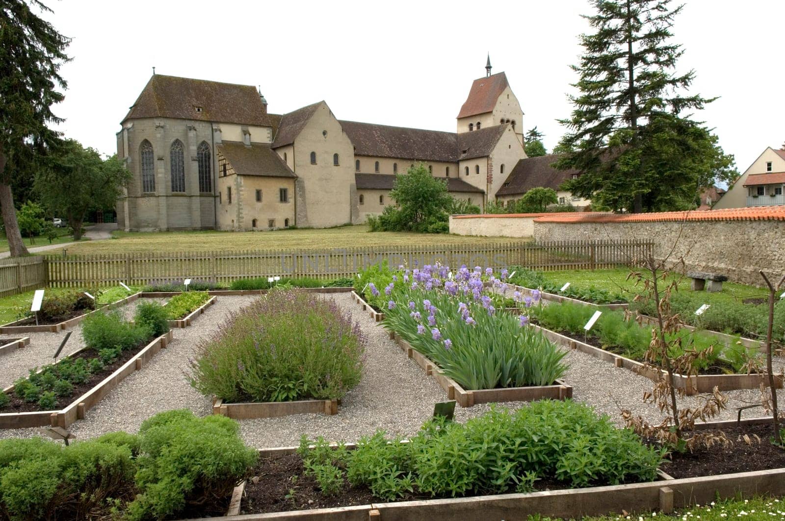 Kräutergarten im Klostergarten von Marienmünster auf Reichenau