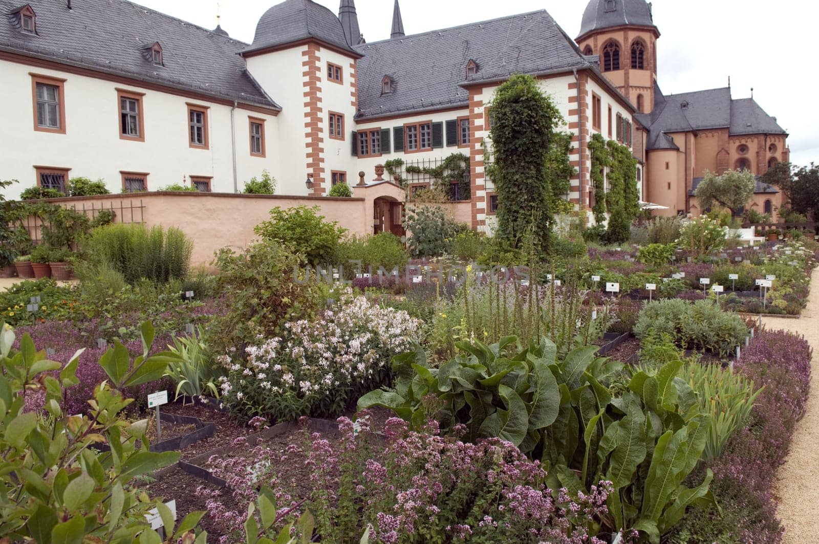 Kraeutergarten  Seligenstadt, Heilpflanzen