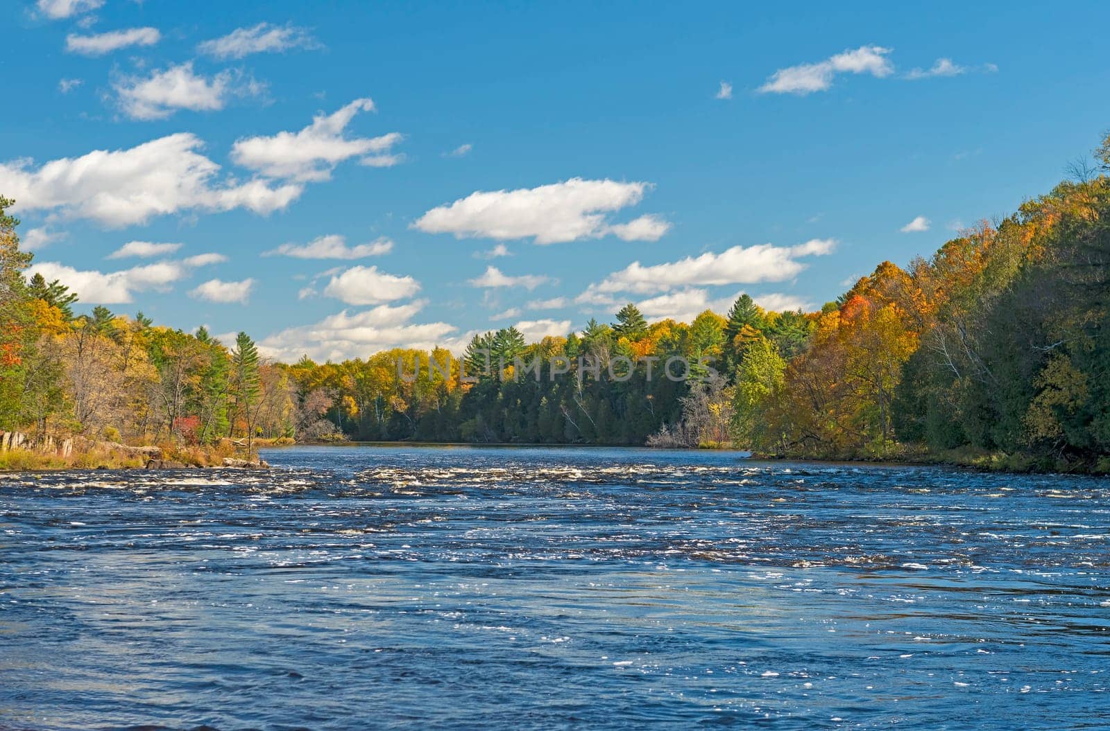 North Woods River Flowing into the Fall Colors on the Piers Gorge Trail in Michigan