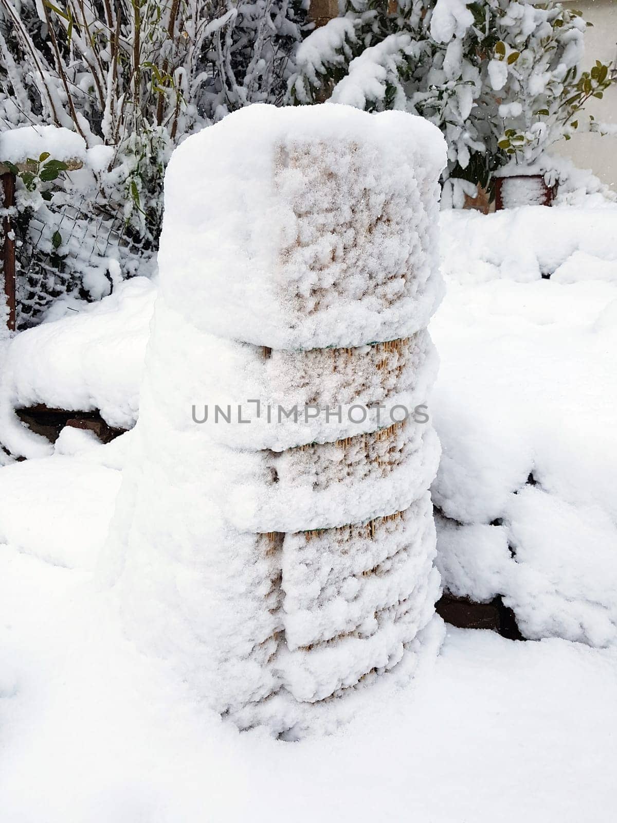 Winterschutz  Frostschutz, Schilfmatten