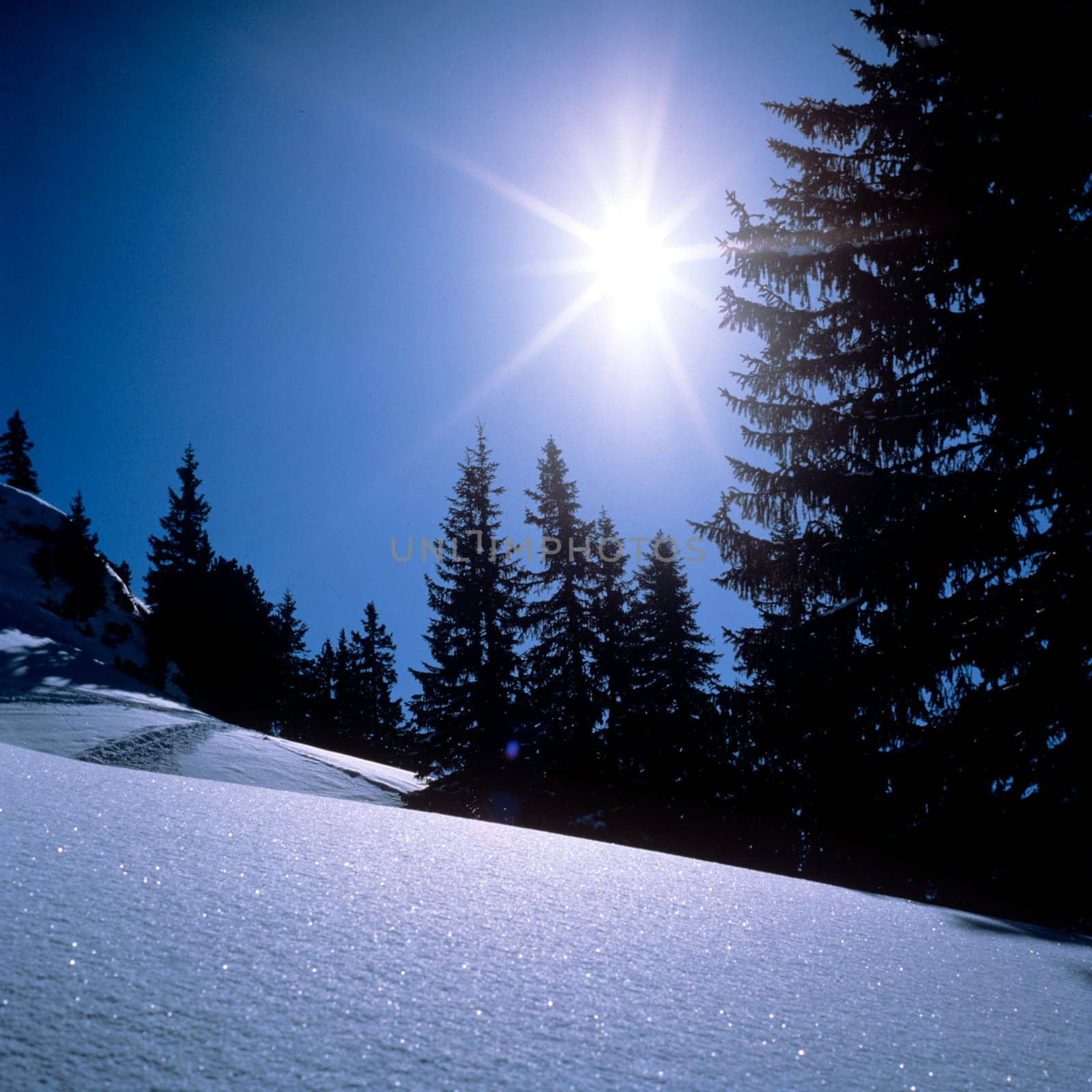 Wintersonne, Landschaft