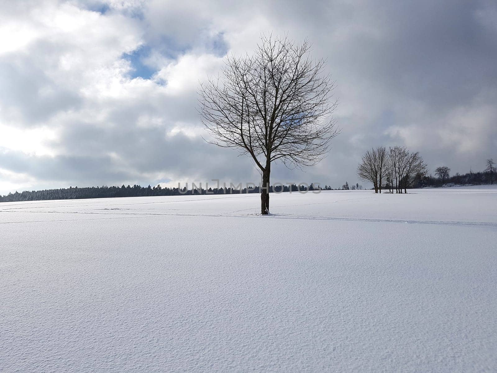 Winterlandschaft, Taunus, Taunusstein