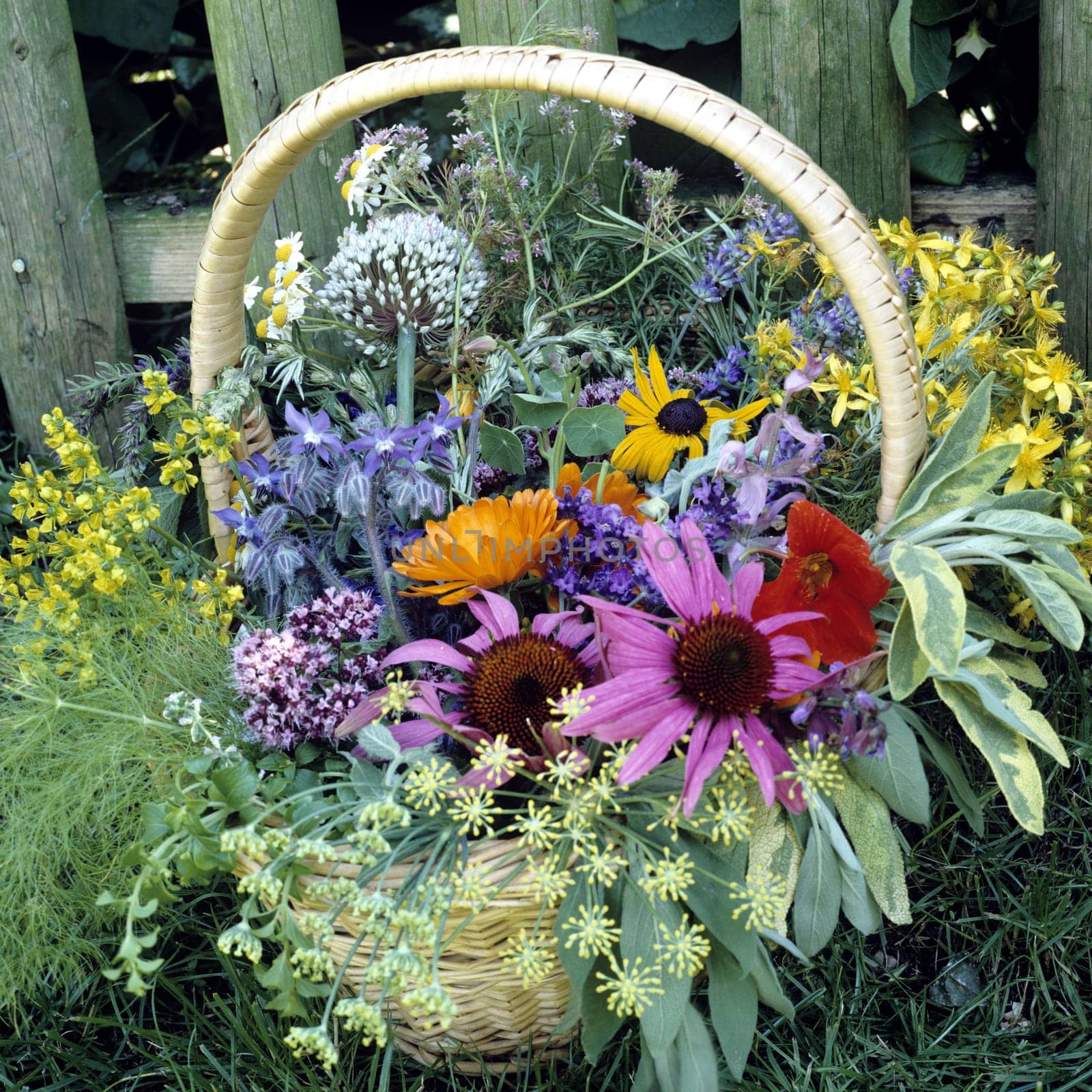 Kraeuterkorb,  Kuechenkraeuter, Kraeuter, Korb, bunt, gemischt, Heilpflanzen