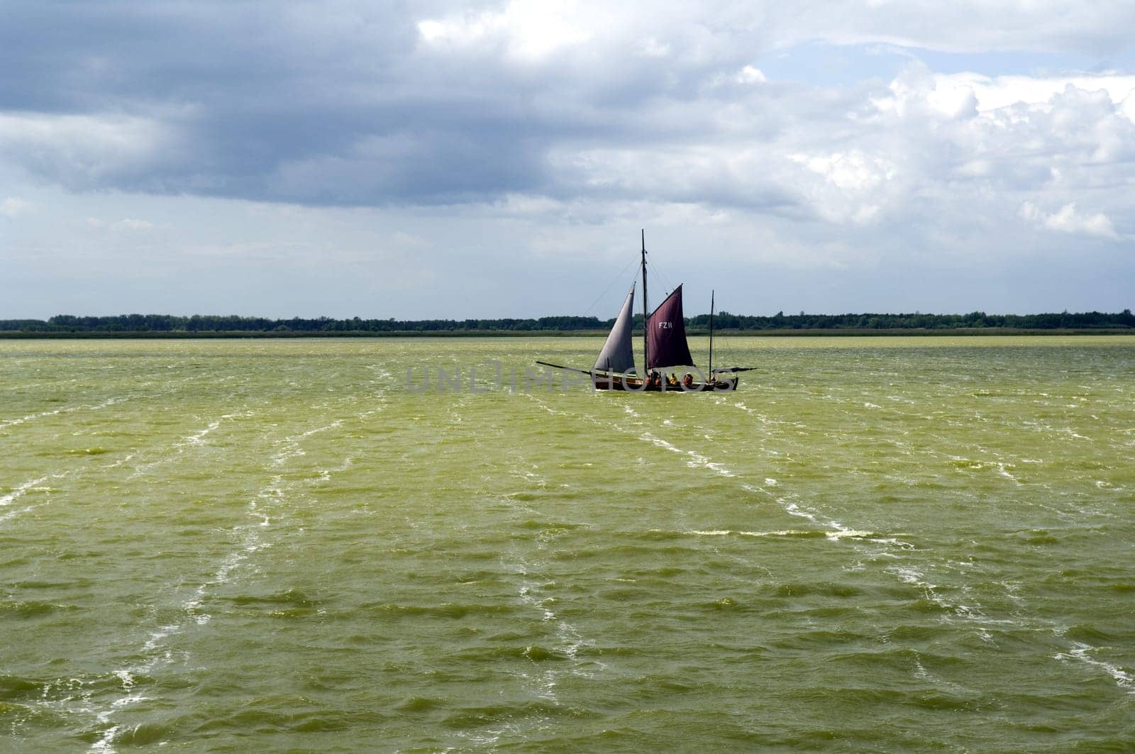 Zeesboot, Saaler Bodden, Landschaft