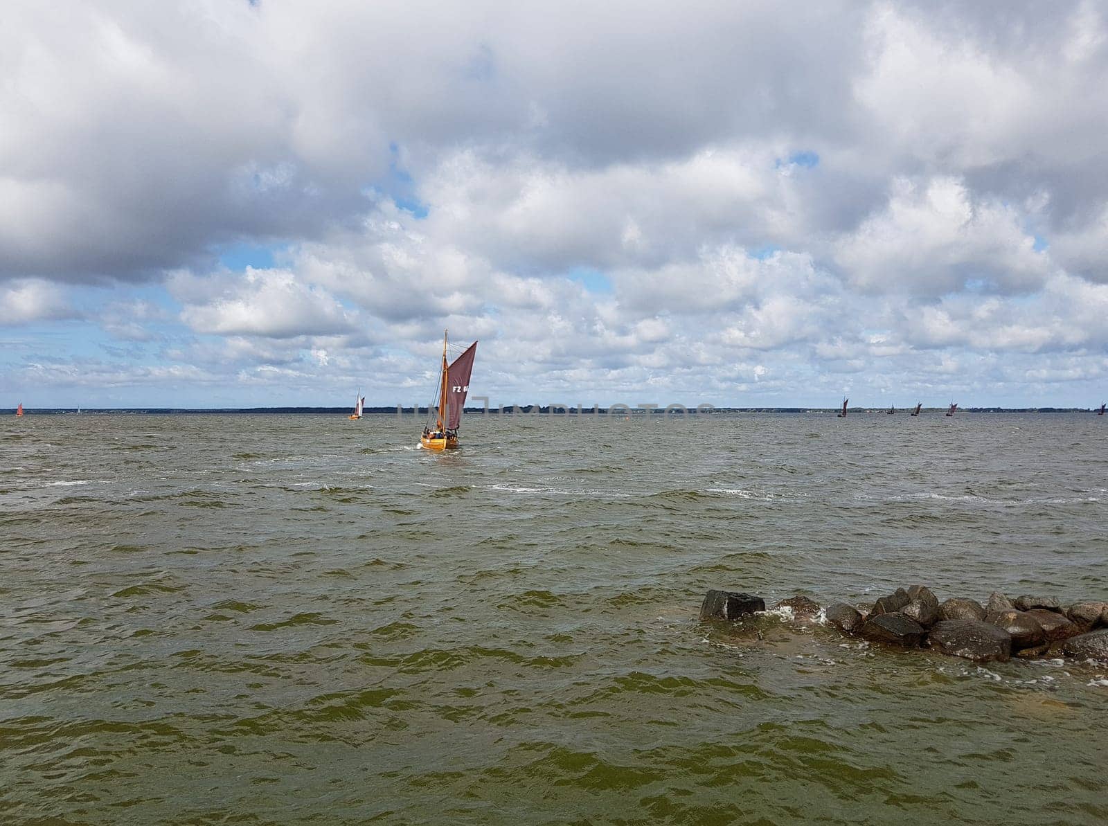 Zeesboote, Regatta in der  Boddenlandschaft in  Mecklenburg-Vorpommern. Zeesboot, regatta in the lagoon landscape in Mecklenburg-Western Pomerania.