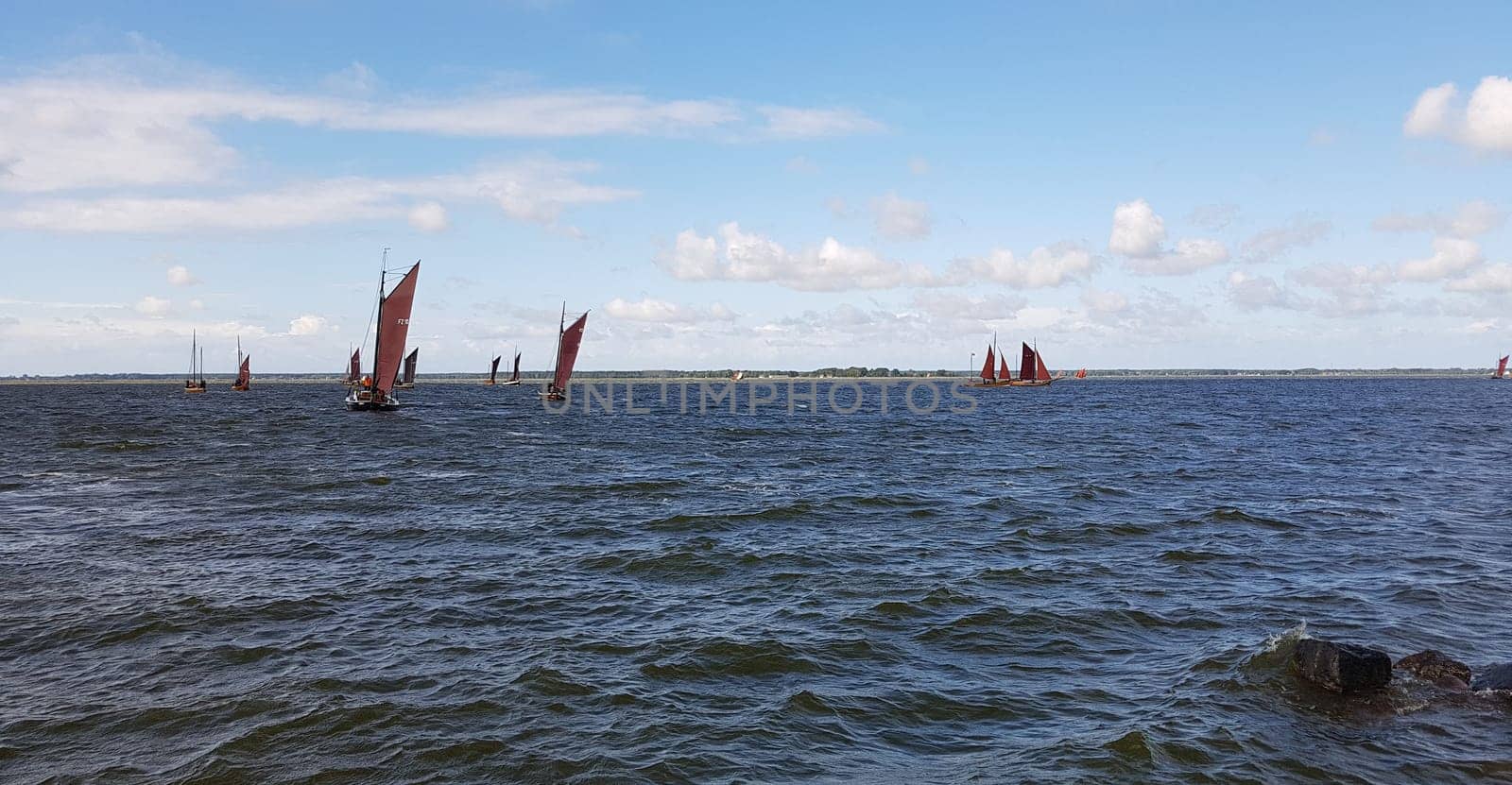 Zeesboote, Regatta in der  Boddenlandschaft in  Mecklenburg-Vorpommern. Zeesboot, regatta in the lagoon landscape in Mecklenburg-Western Pomerania.