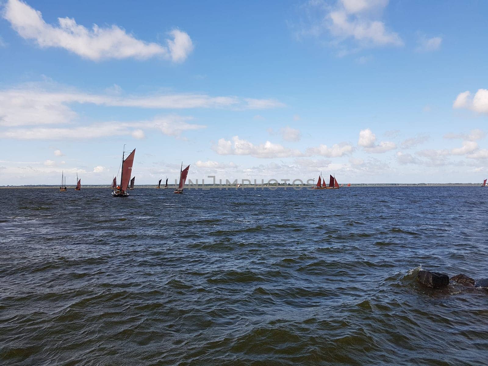 Zeesboote, Regatta in der  Boddenlandschaft in  Mecklenburg-Vorpommern. Zeesboot, regatta in the lagoon landscape in Mecklenburg-Western Pomerania.