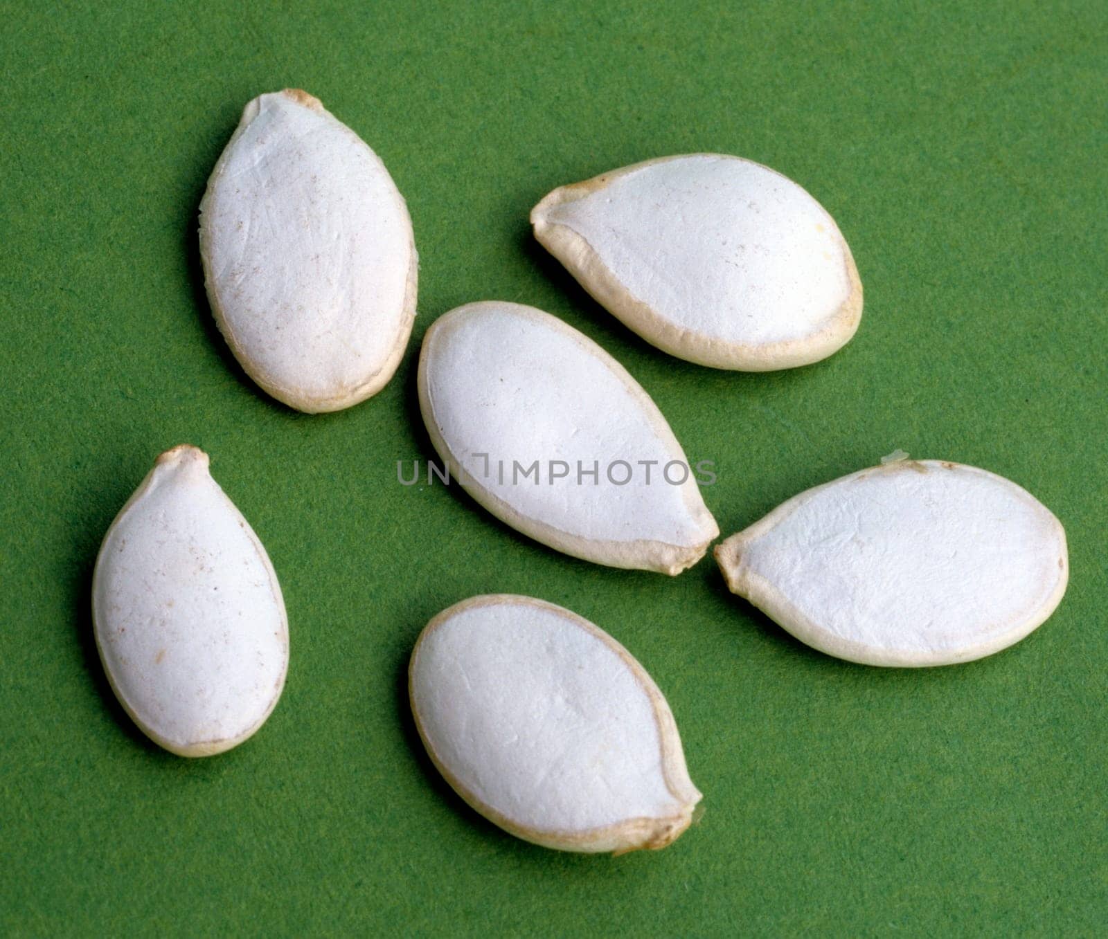 Kuerbis, Curcurbita maxxima, Speisekürbis, Gartenfrucht, Kuerbisse, Cucurbita, Kuerbiskerne.