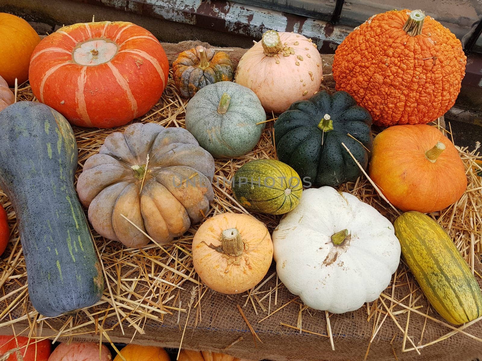 Erntedank Arrangement mit Blumen, Gemuese und Obst. Thanksgiving Arrangement of flowers, vegetables and fruits.