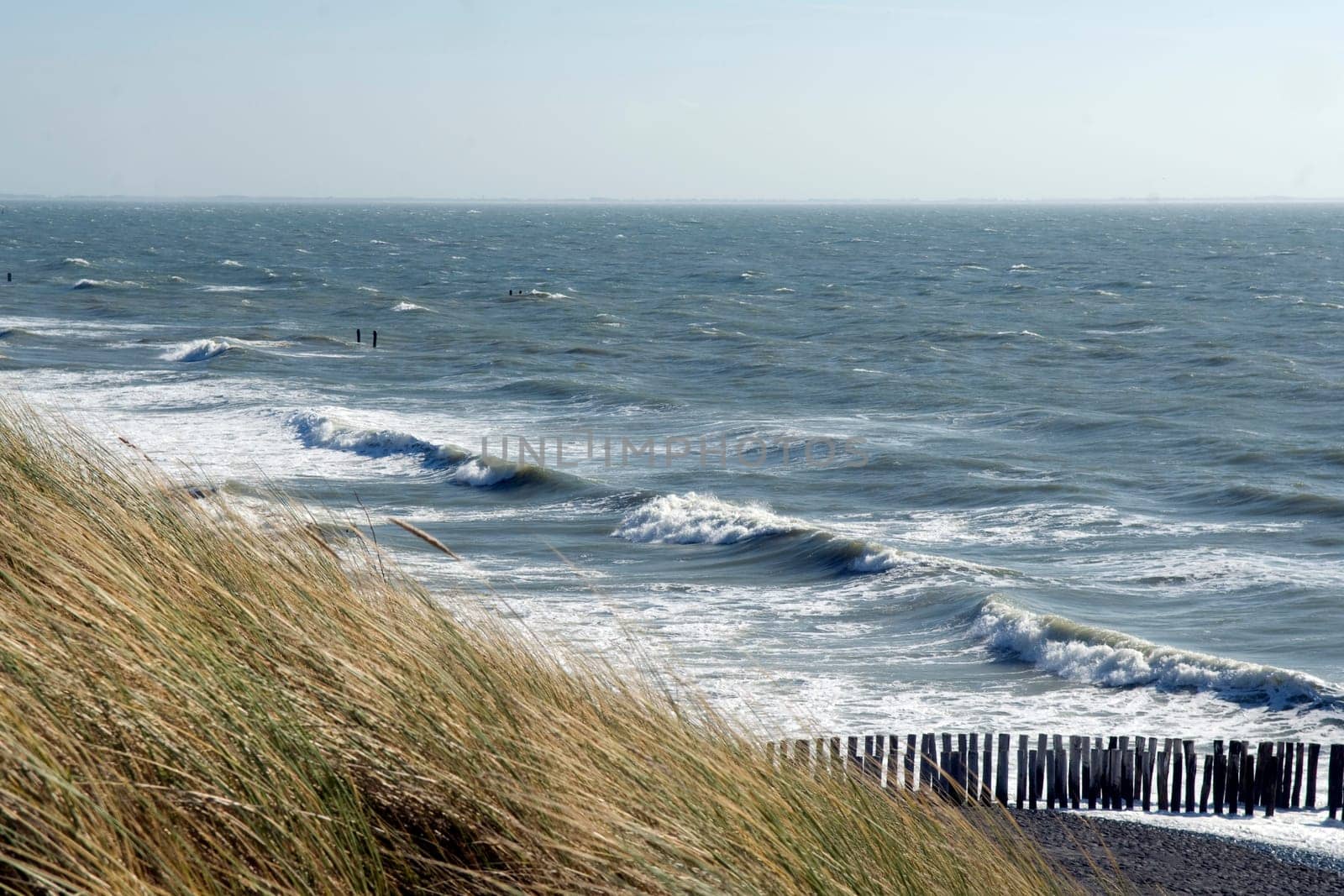Kueste, Westkapelle, Landschaft