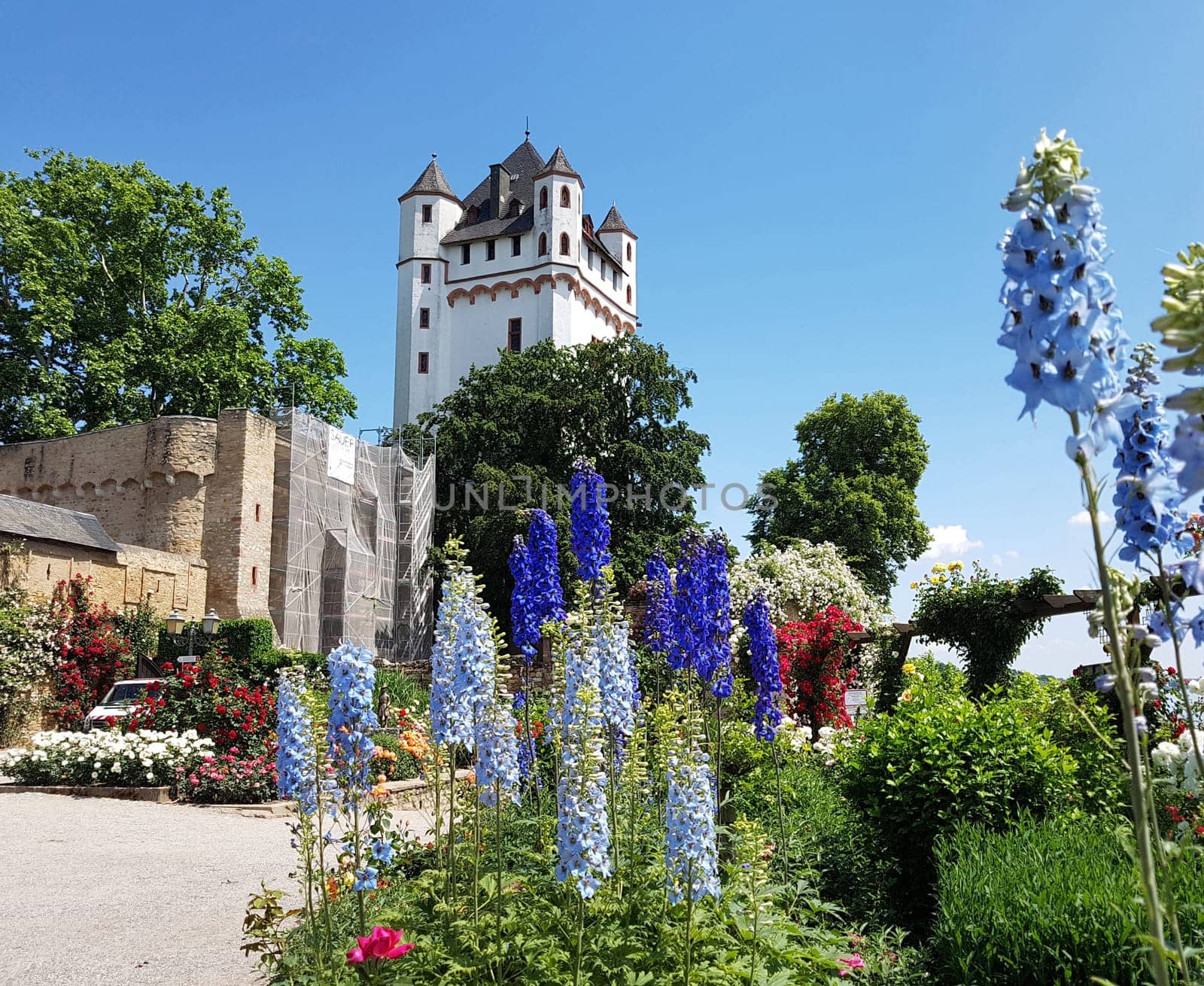 Burg Eltville,  Deutschland,  Eltville,  Rhein