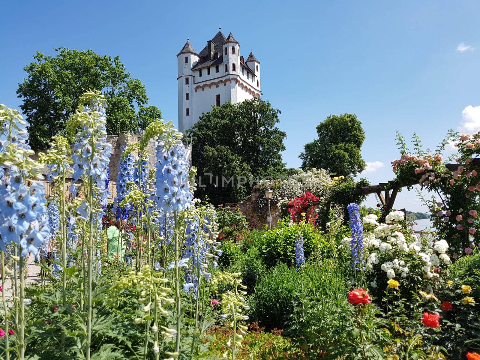 Burg Eltville,  Deutschland,  Eltville,  Rhein