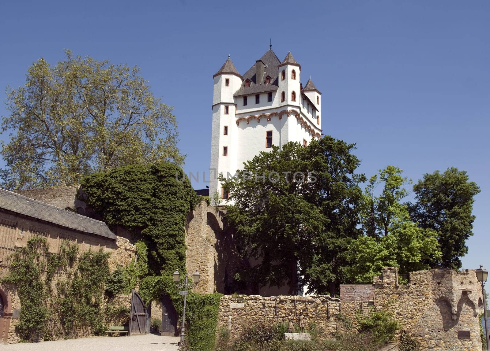 Kurfuerstliche Burg Eltville, Landschaft